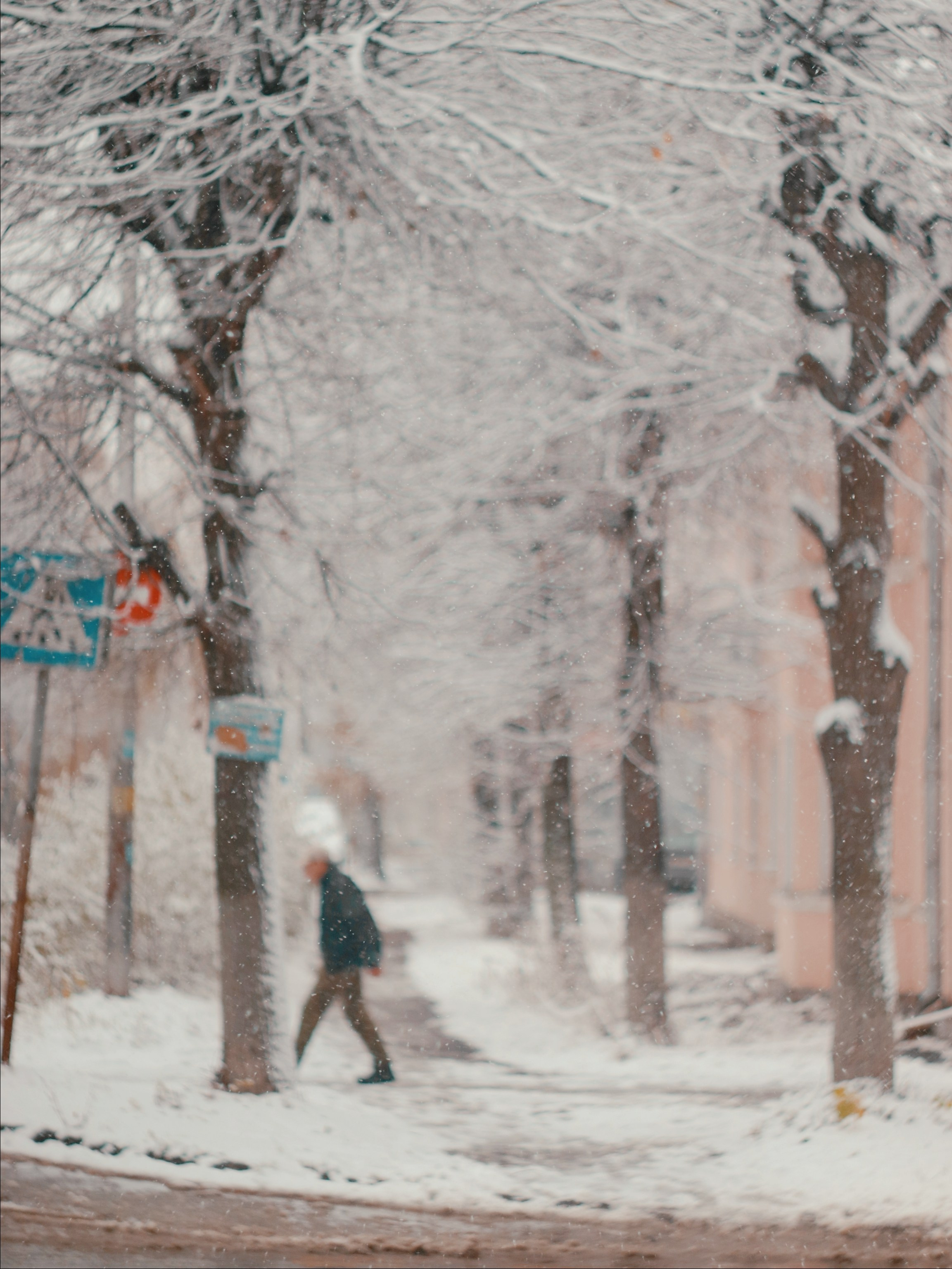 Ноябрьский снег. С любовью, фотохудожник