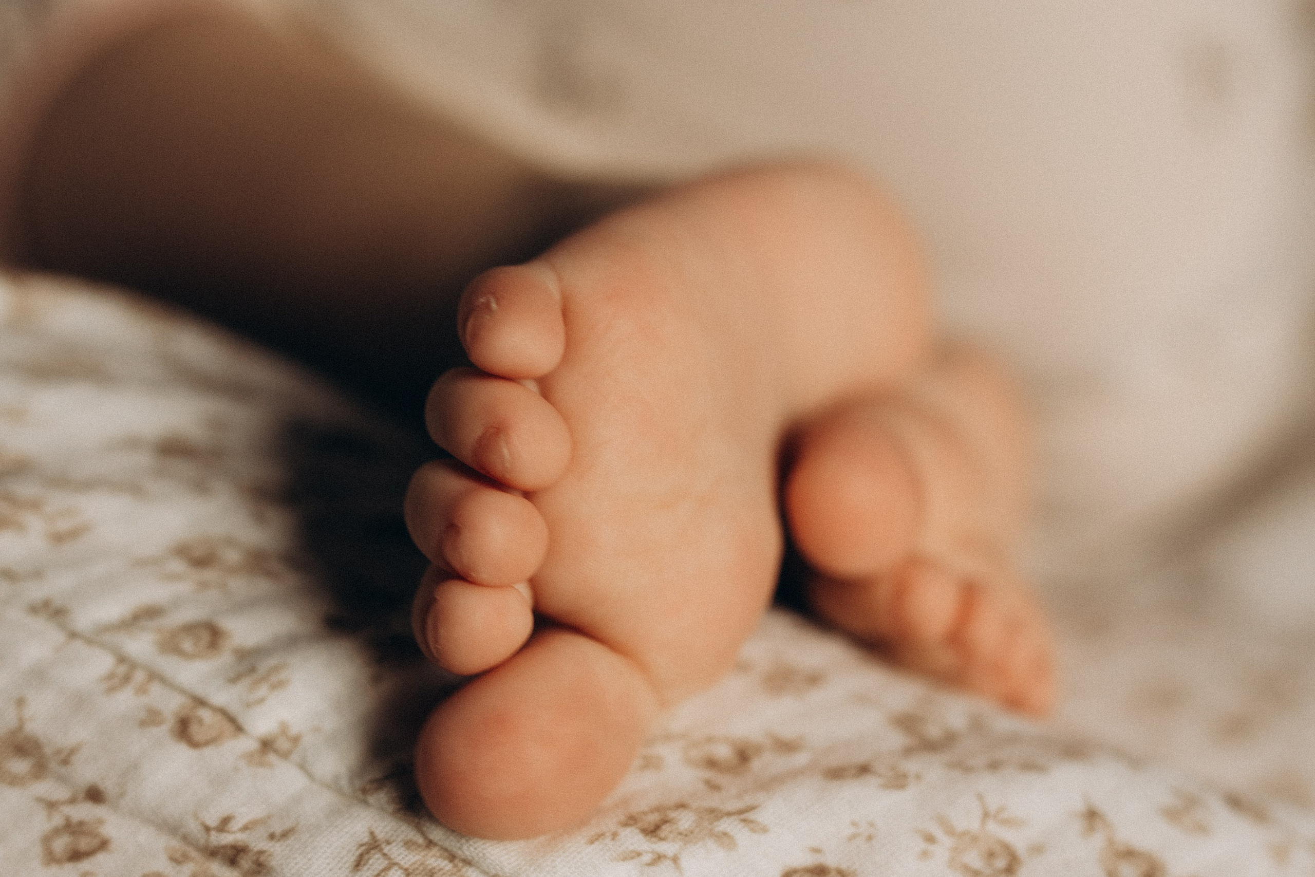 Новогоднее настроение. Семейный фотограф lifestyle в Новосибирске Елена Шпилевая