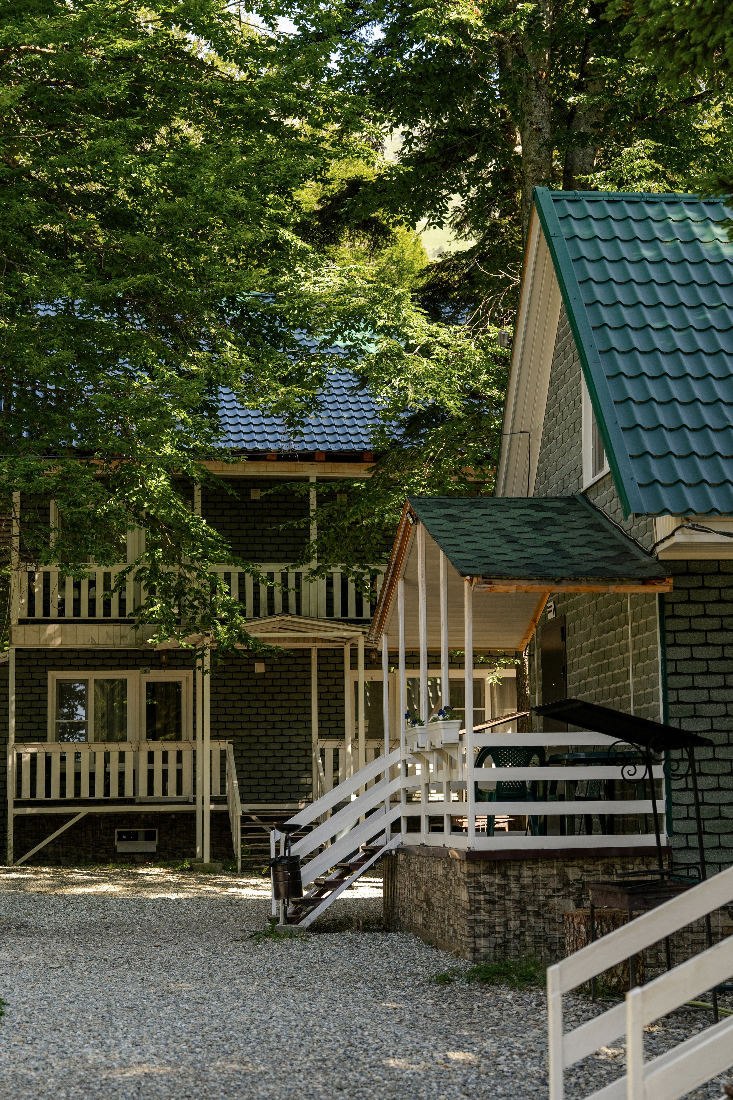 Green Park. Фотограф и видеограф Елена Хмелевская