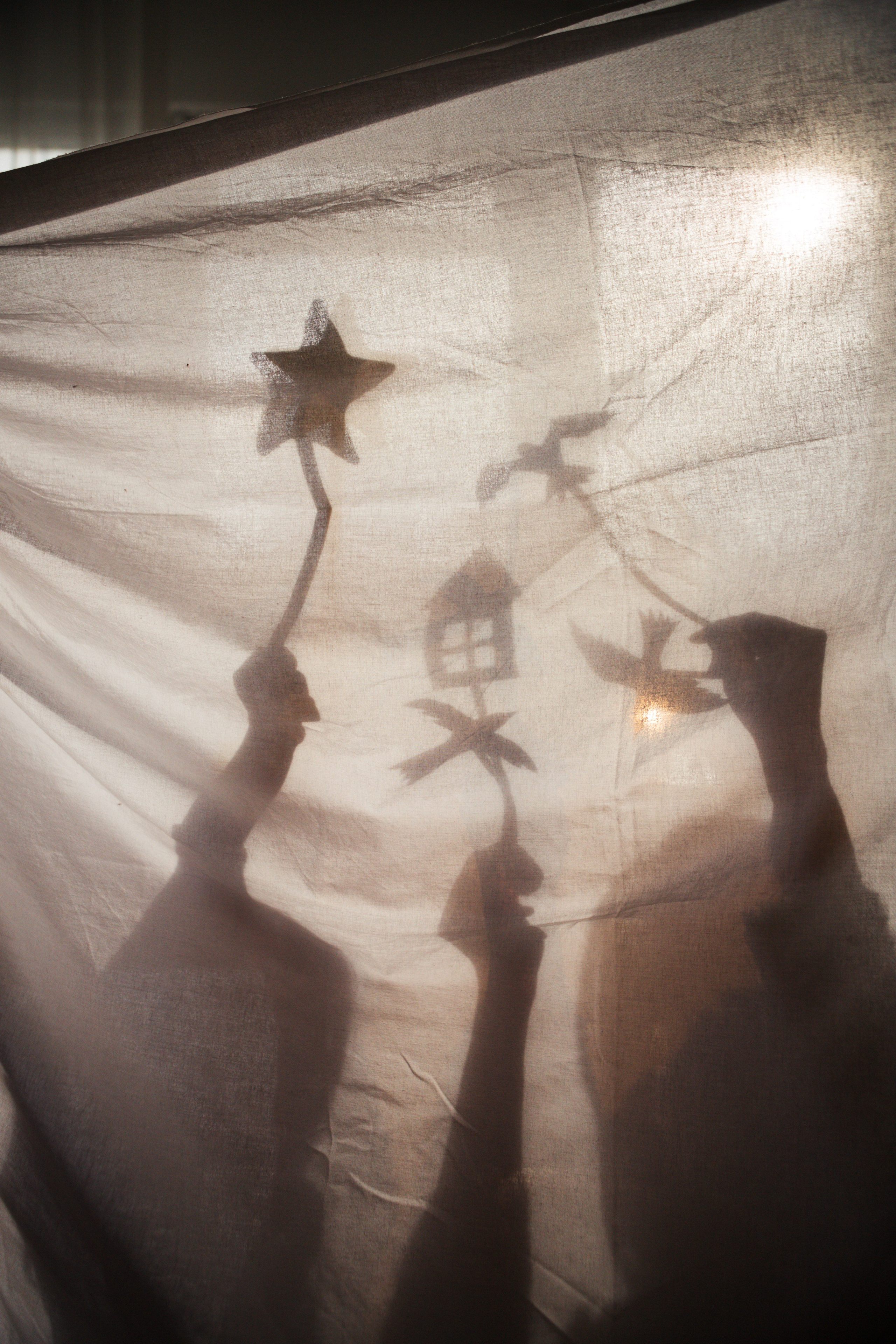 Театр теней. Семейный фотограф Елизавета Увицкая