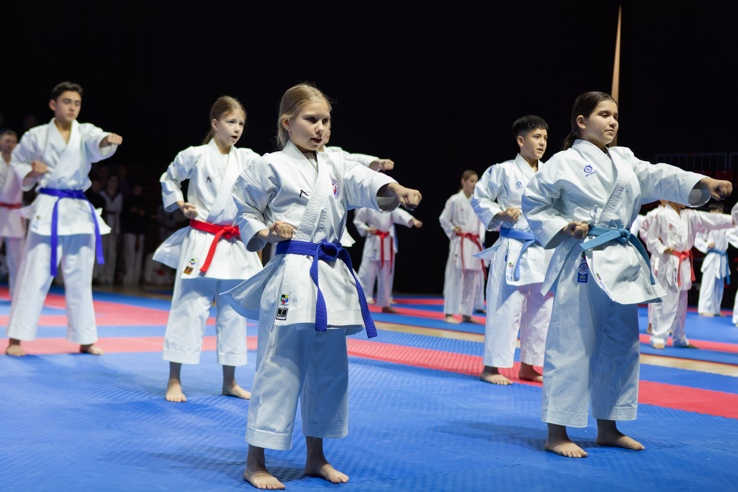 Дальневосточный фестиваль восточных единоборств. Кутузов Евгений Фотограф в Южно-Сахалинске