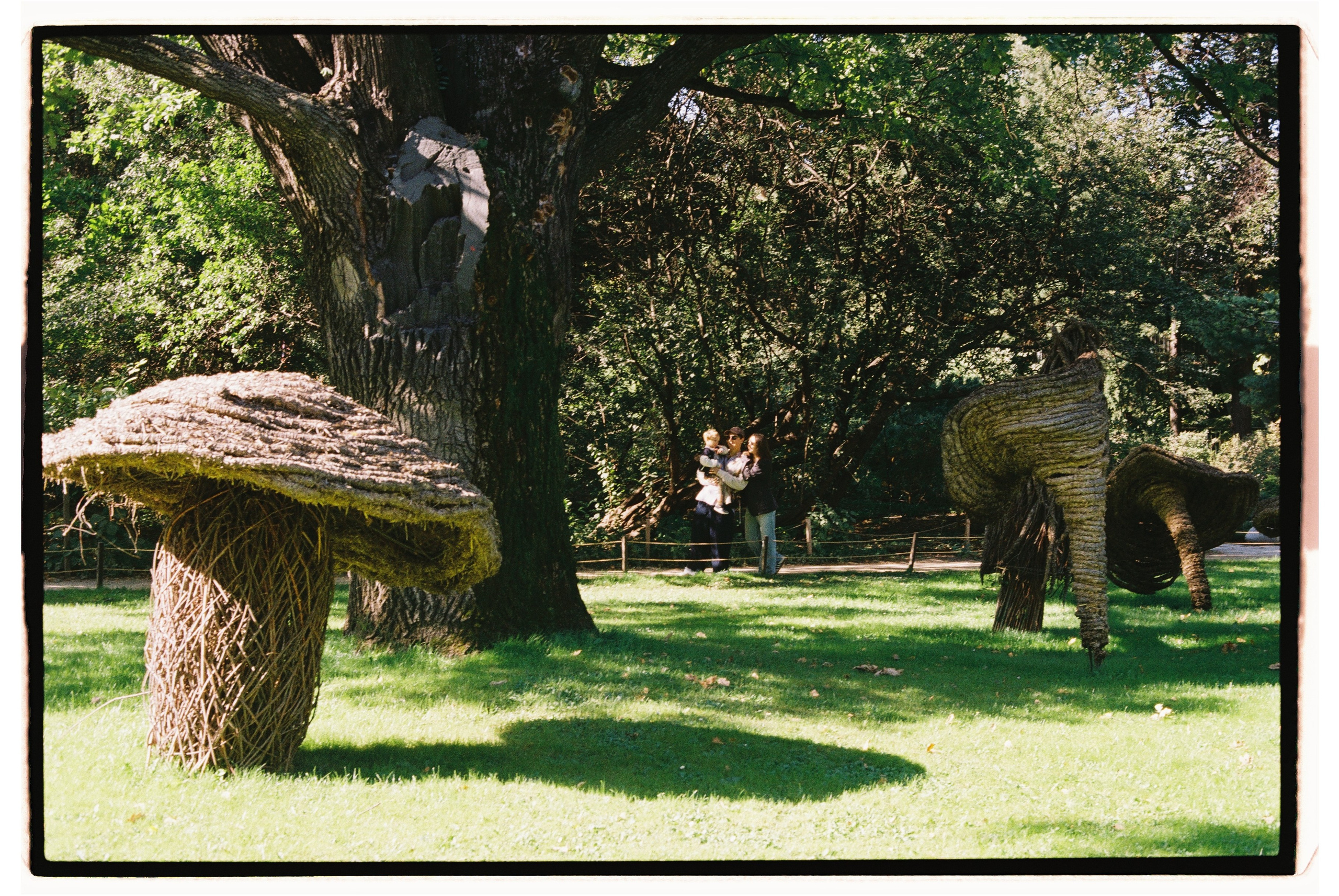 Аптекарский огород / пленка. Кизя Мисриева — фотограф: плёнка, цифра. Москва и не только