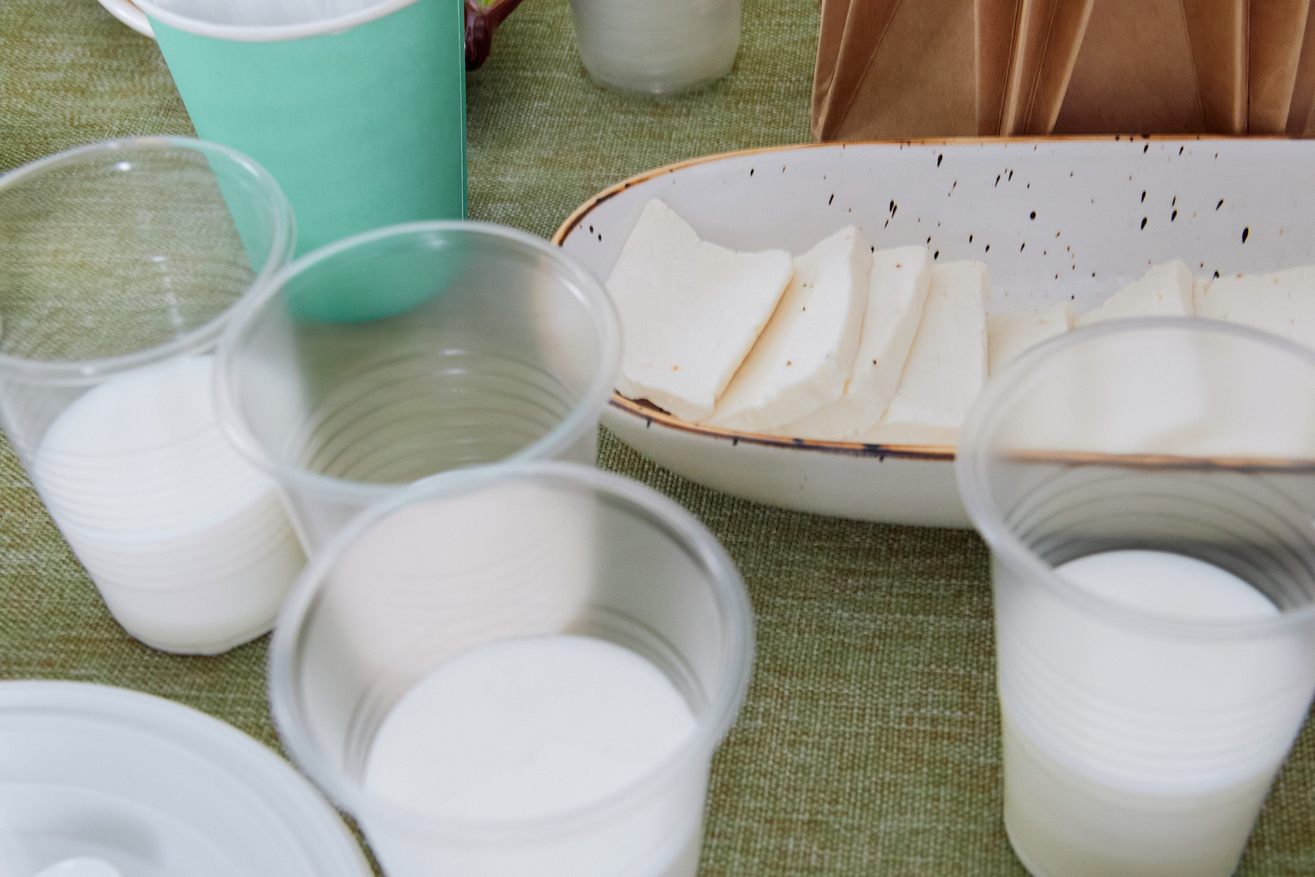 Экскурсия «Агроферма-Катынь». Фотограф в Смоленске Ася Польшина