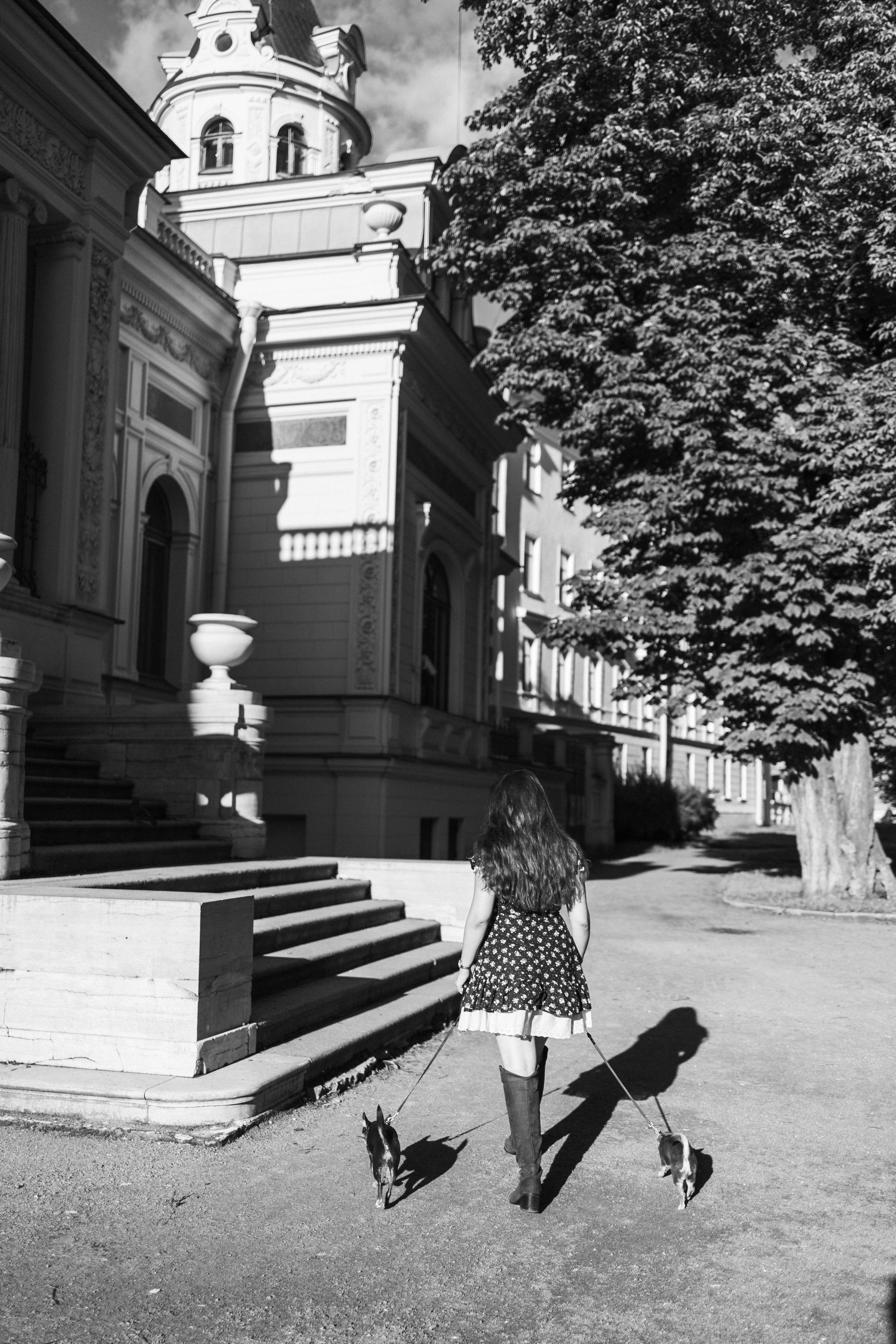 Даша и ее мальчики. Фотограф — Анималист | Санкт-Петербург