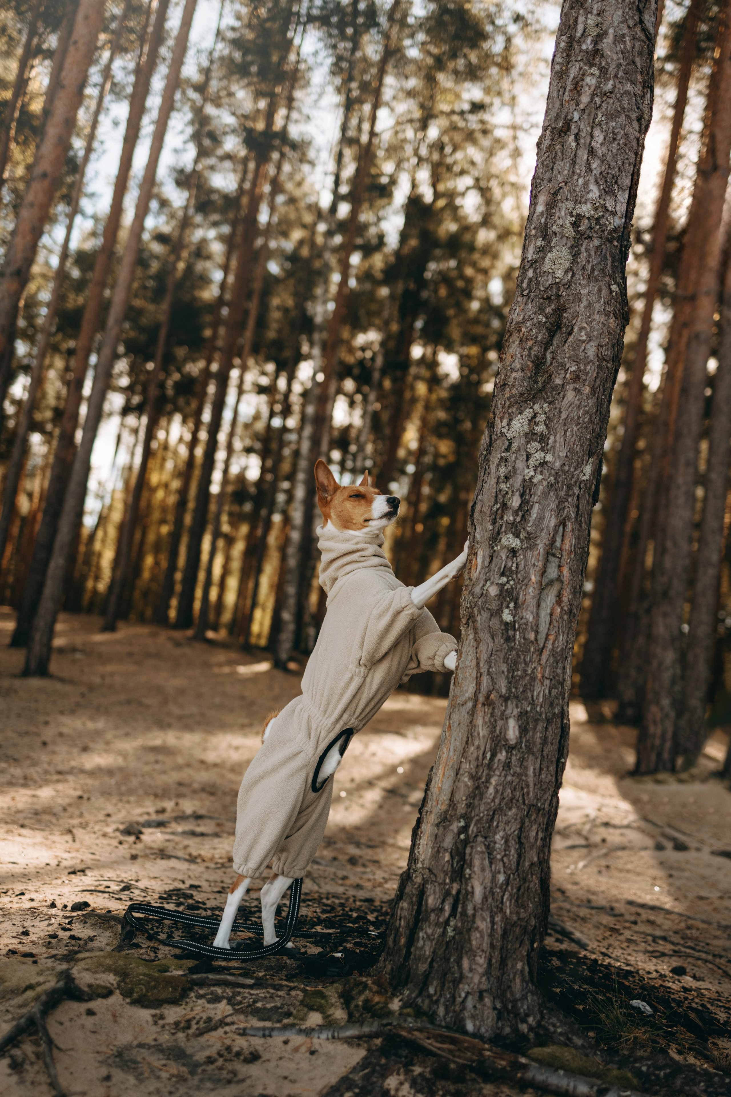 Алиса и Лео. Фотограф — Анималист | Санкт-Петербург