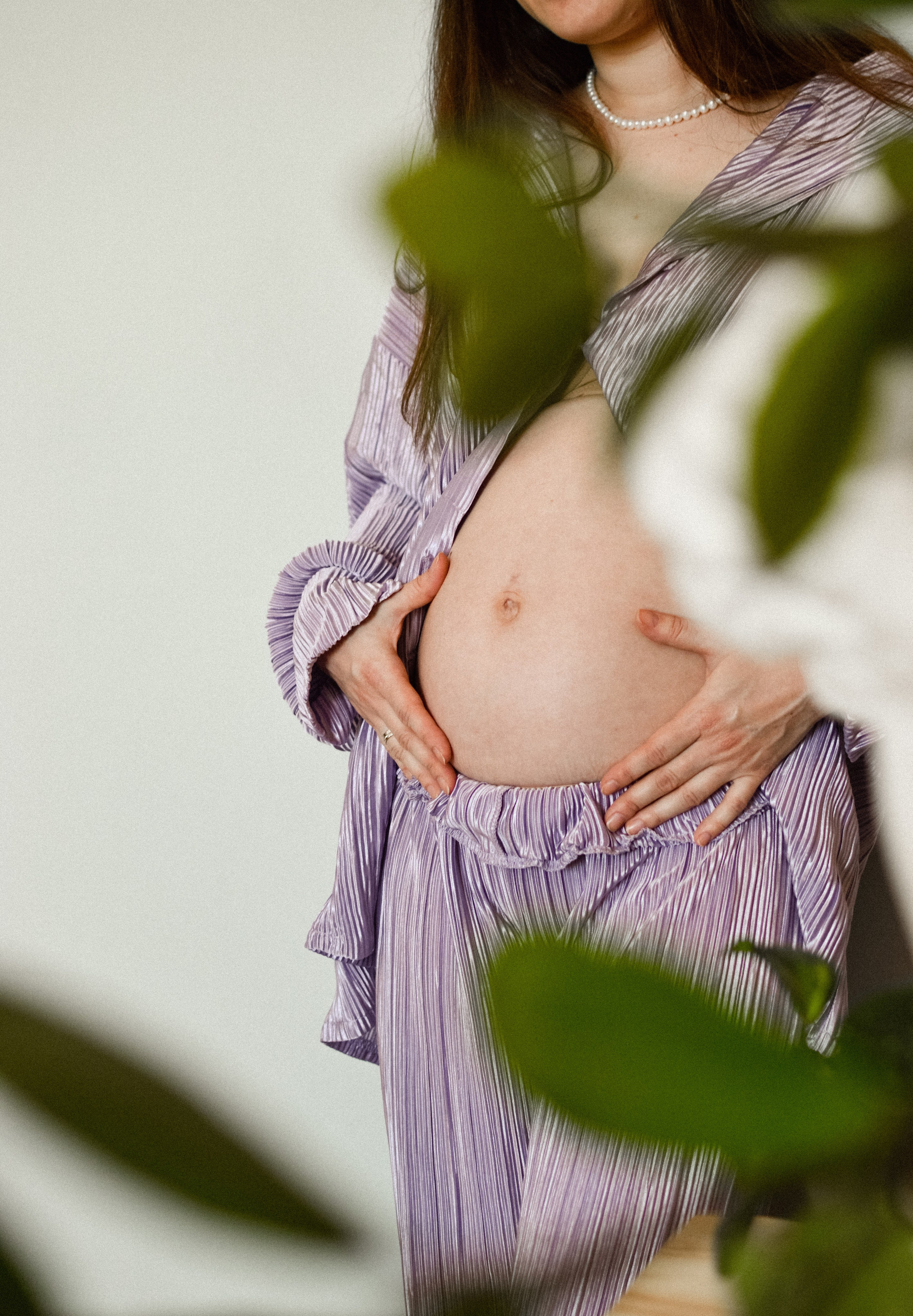 Домашняя история. Meryfotoidea