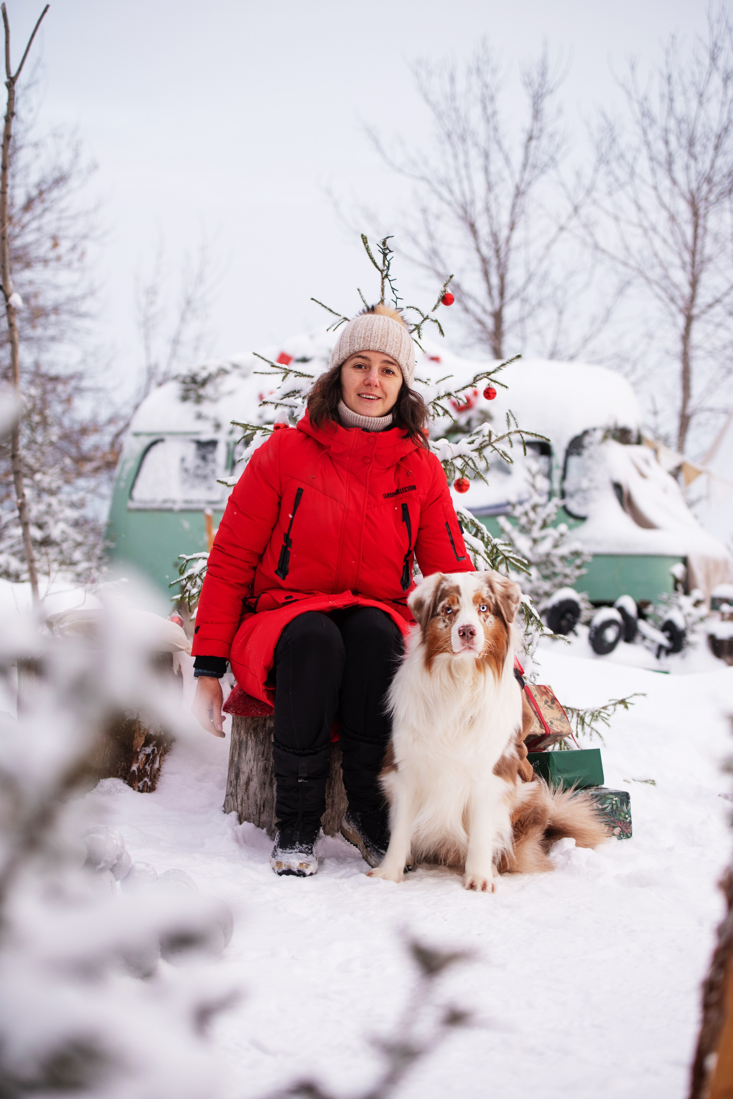 Аусси и его семья. Дог-фотограф в Тюмени Александра Королева