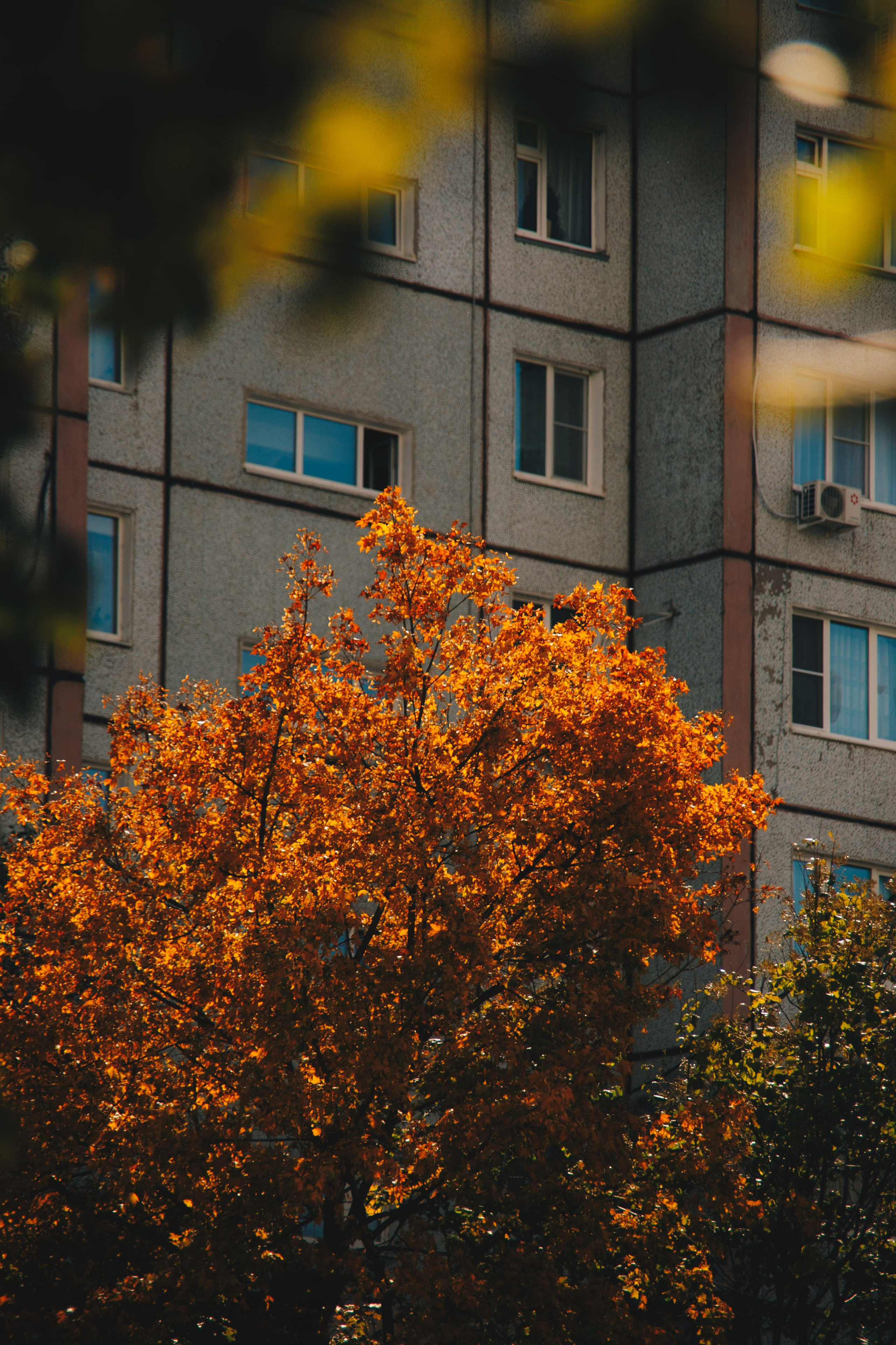 Природа. Darinishna Фэнтези-фотограф Хабаровск