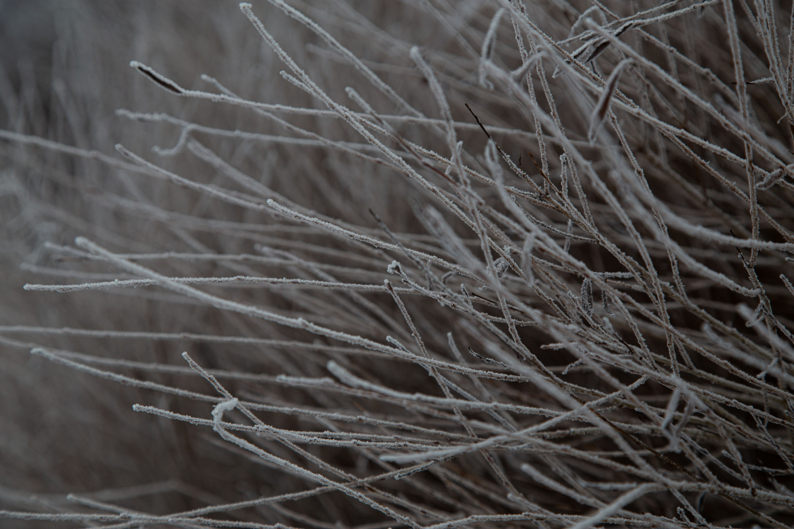 Воздух февраля. Dmitriy [KCCC] is a pretty cool photographer