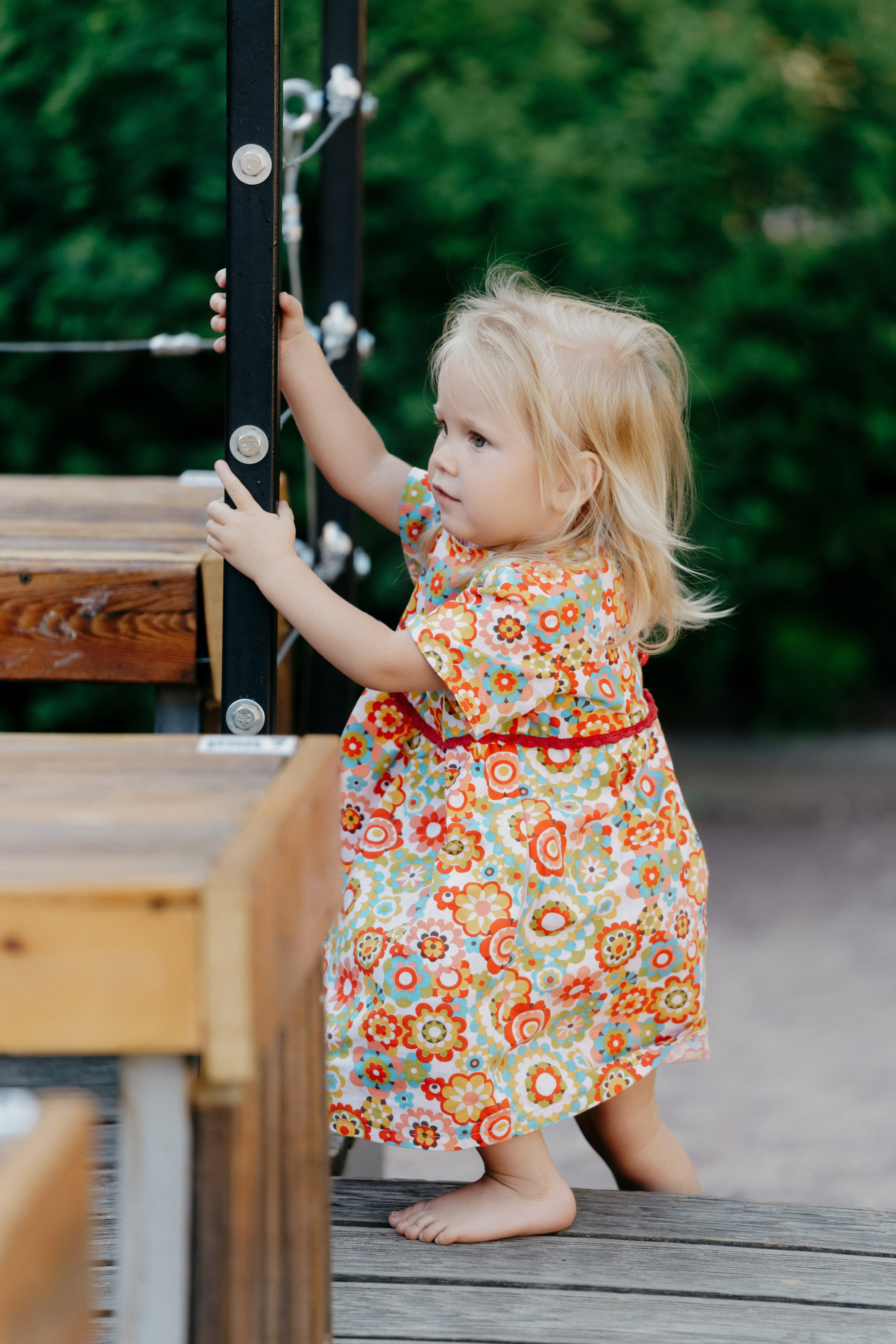 Фестиваль роз. Фотограф в Москве Дмитрий Рогов