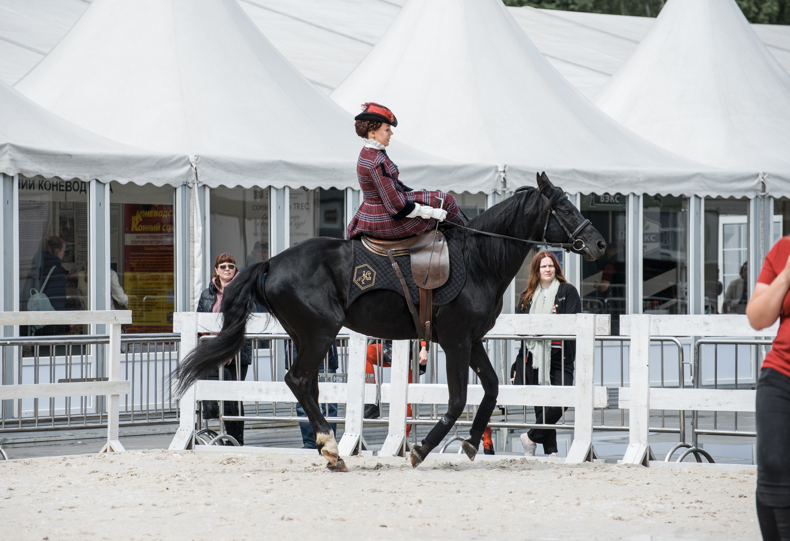 Эквирос, Москва. Конный фотограф в Саратове Юлия Иванова