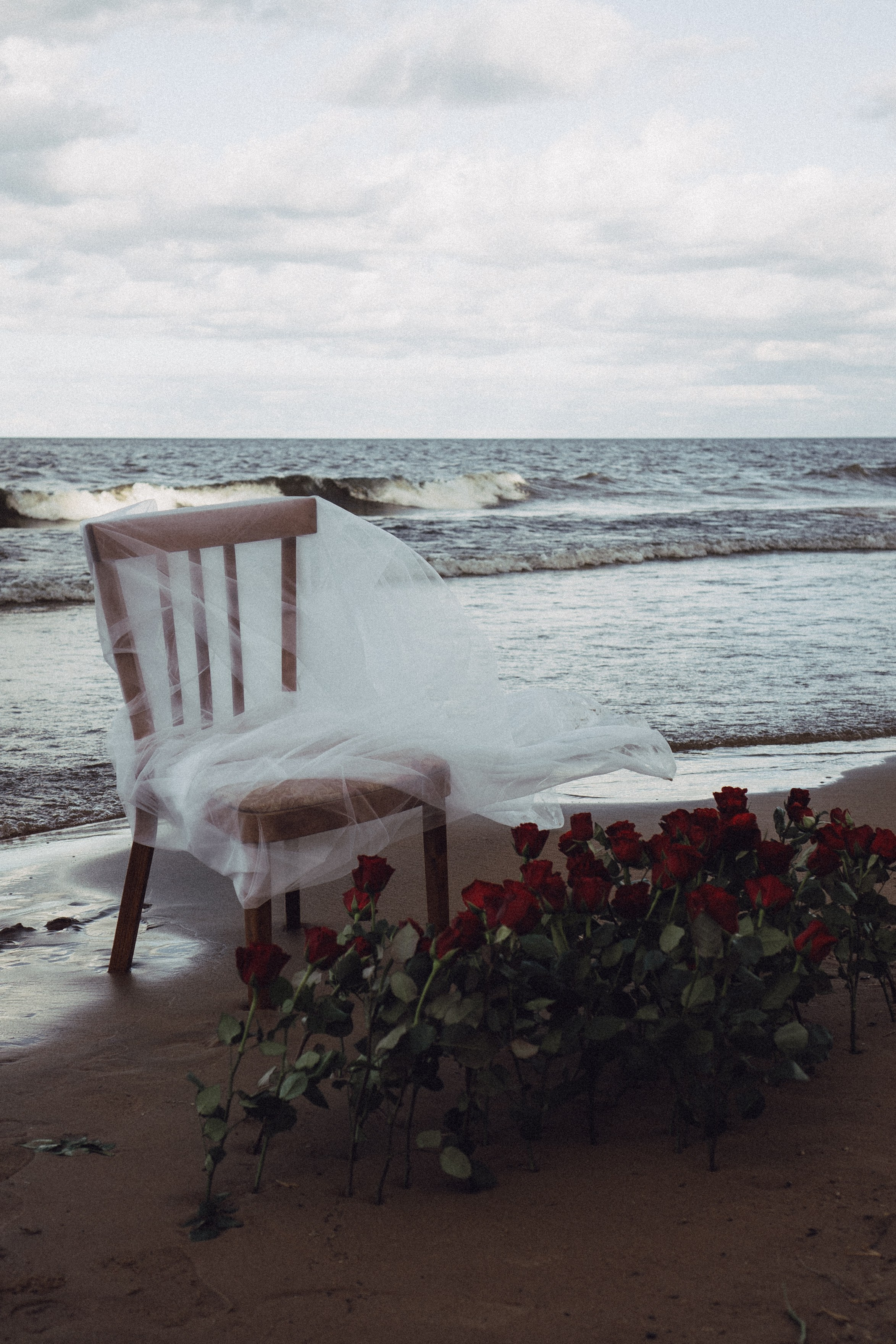 Розы. Профессиональный фотограф, Санкт-Петербург — Виктория Богомолова