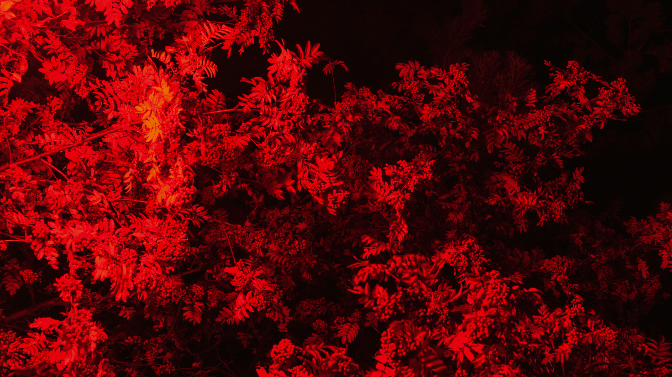 TMN summer '24. Фотограф/дизайнер в Екатеринбурге Хитрый Дмитрий