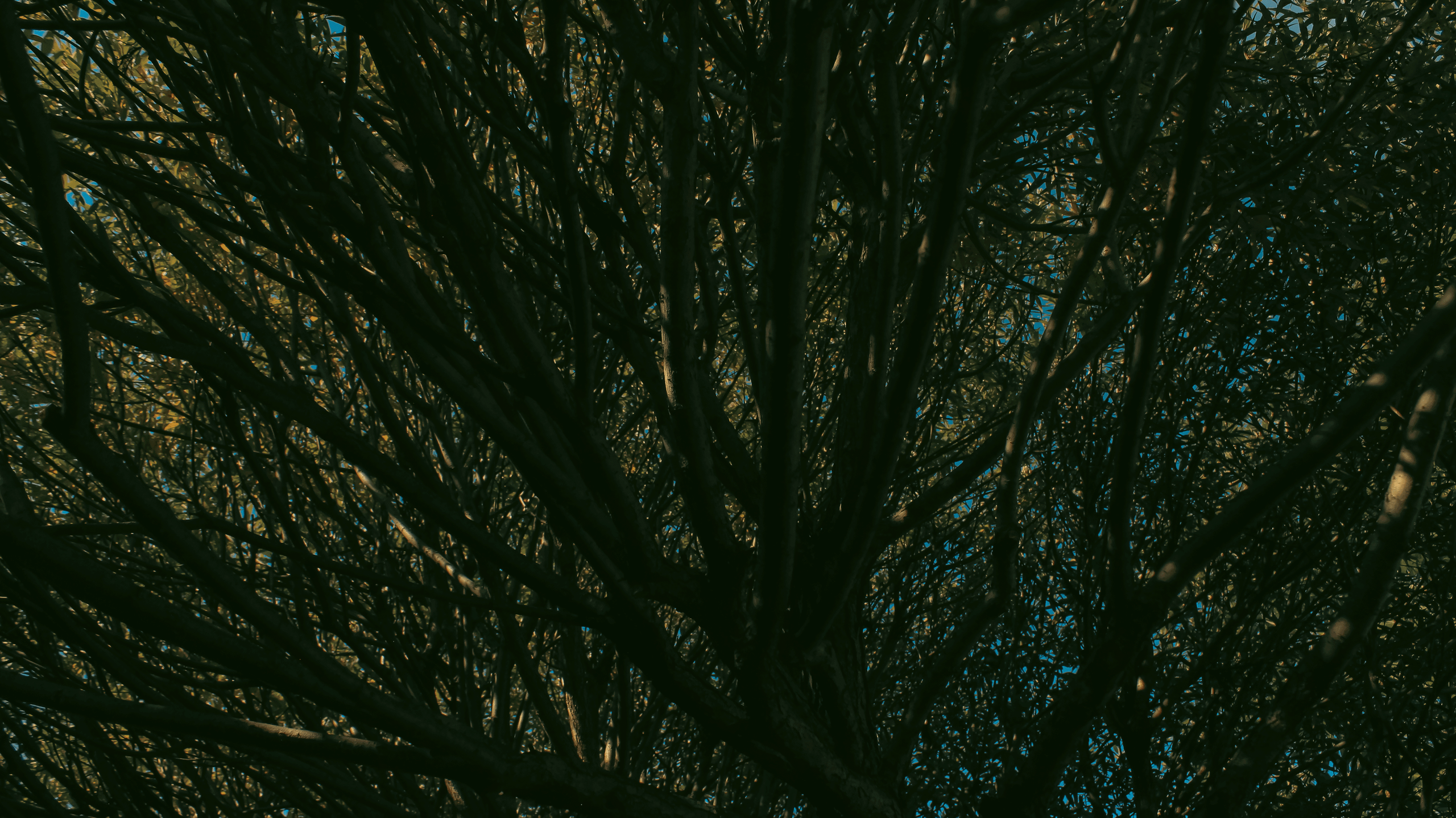 TMN ivapark '24. Фотограф/дизайнер в Екатеринбурге Хитрый Дмитрий