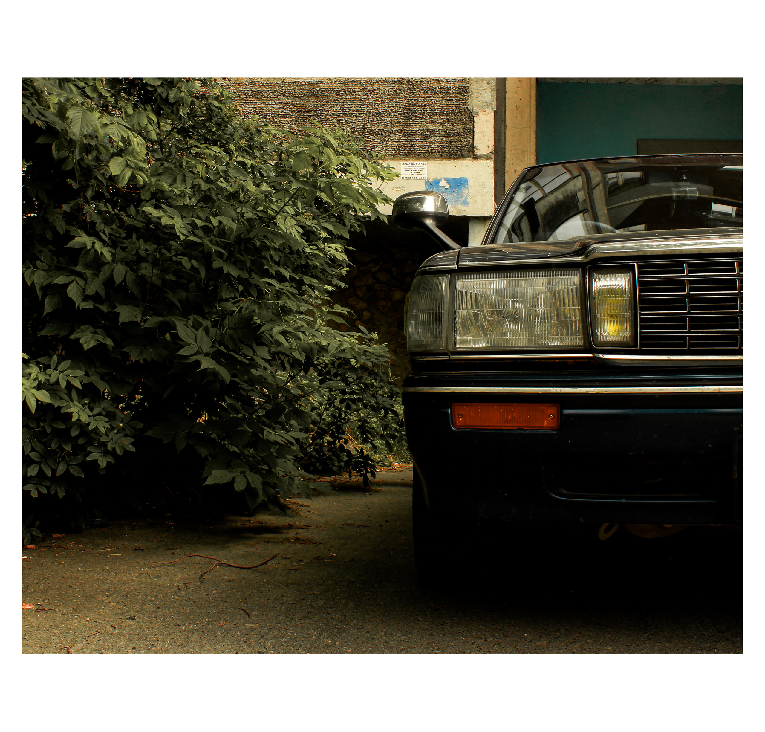 Summertime. Фотограф/дизайнер в Екатеринбурге Хитрый Дмитрий