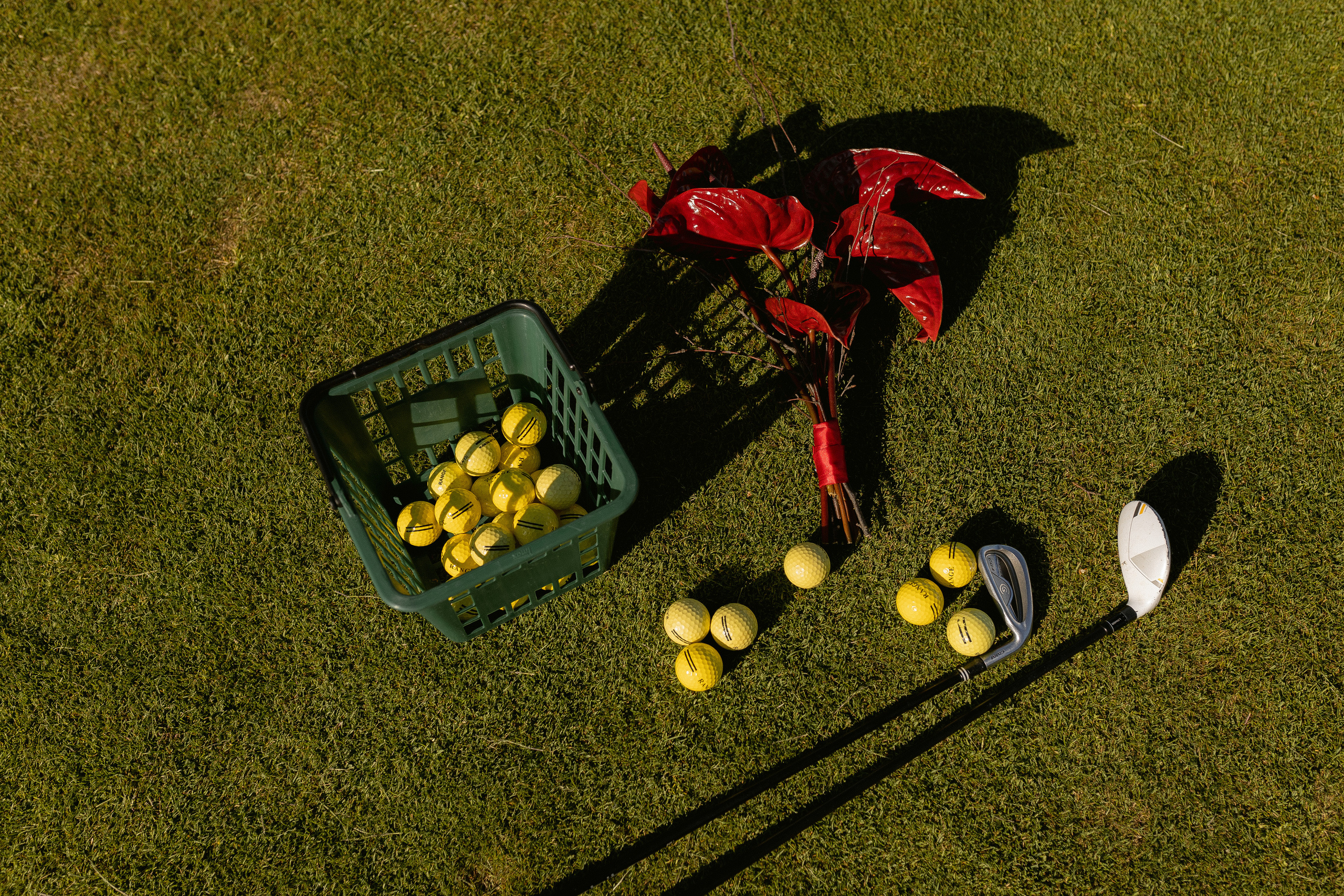 Golf and friends. Свадебный фотограф Санкт-Петербург, Юлия Радченкова