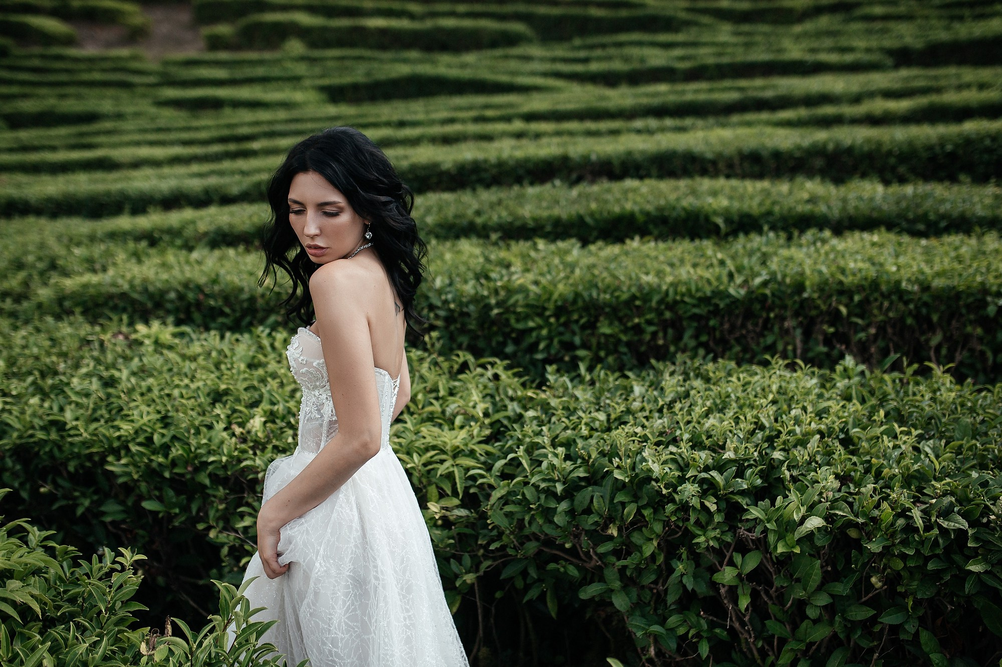 невеста в чайных плантациях