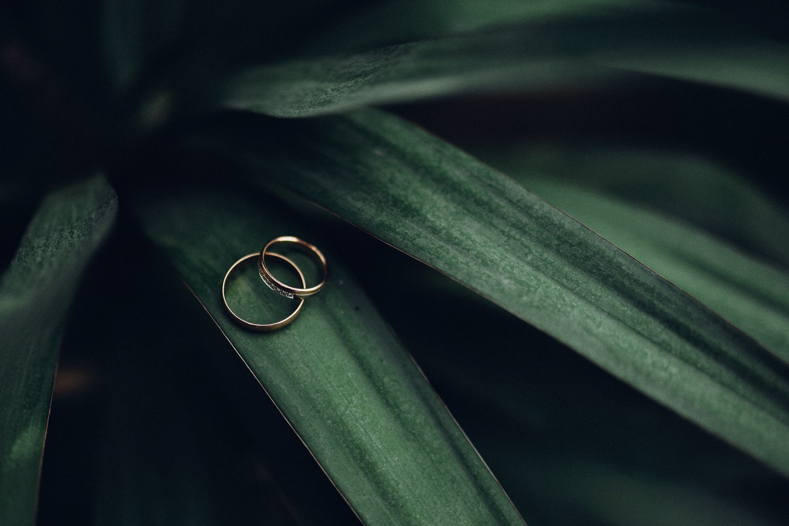 Фотограф в Москве и Крыму Горбунов Денис