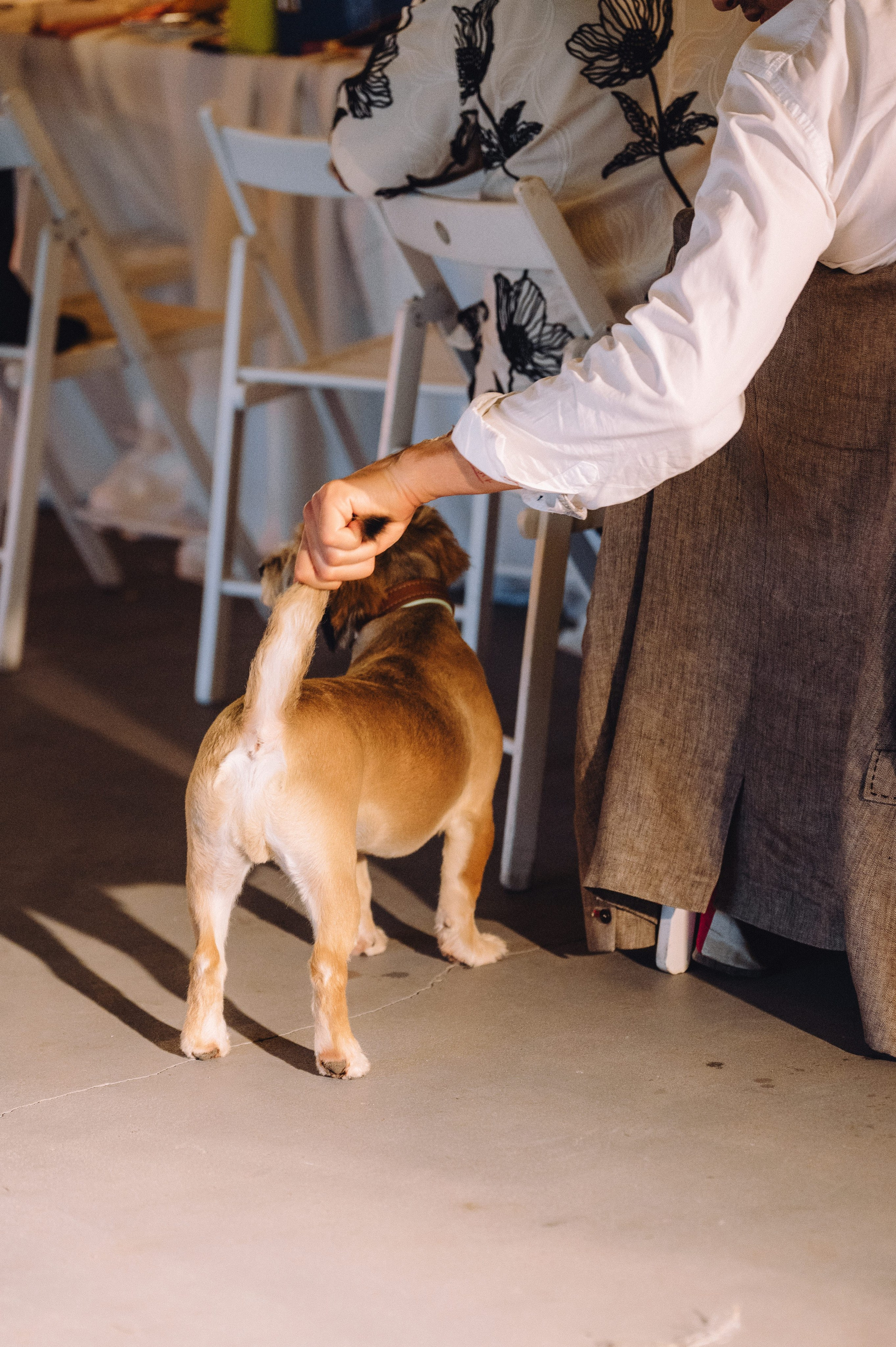 Слава и Даша. Профессиональный фотограф Алексей Васенцев. Минск, СПБ, Москва