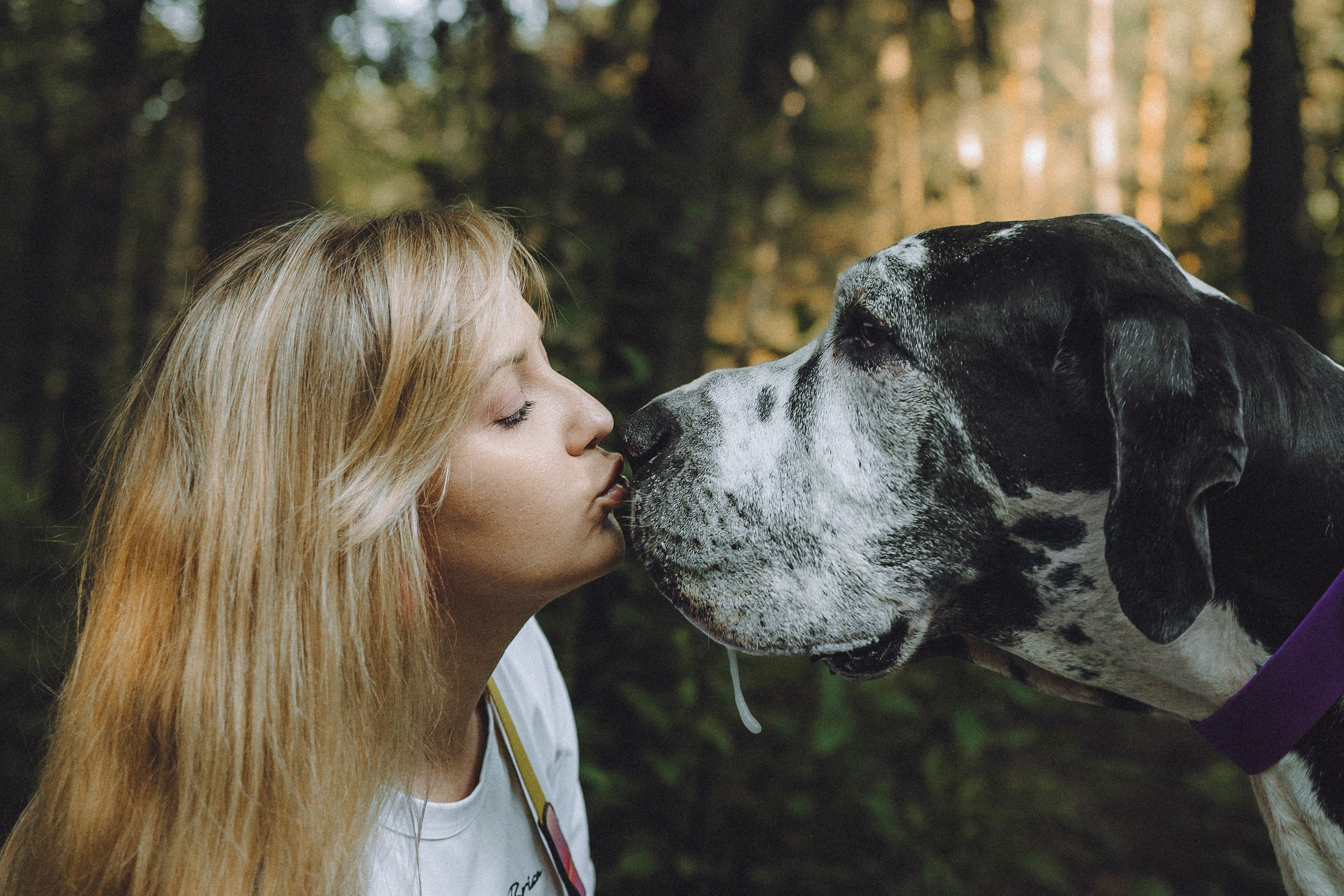 Катя, Андрей, Гектор, Ричи, Тортик и Трой