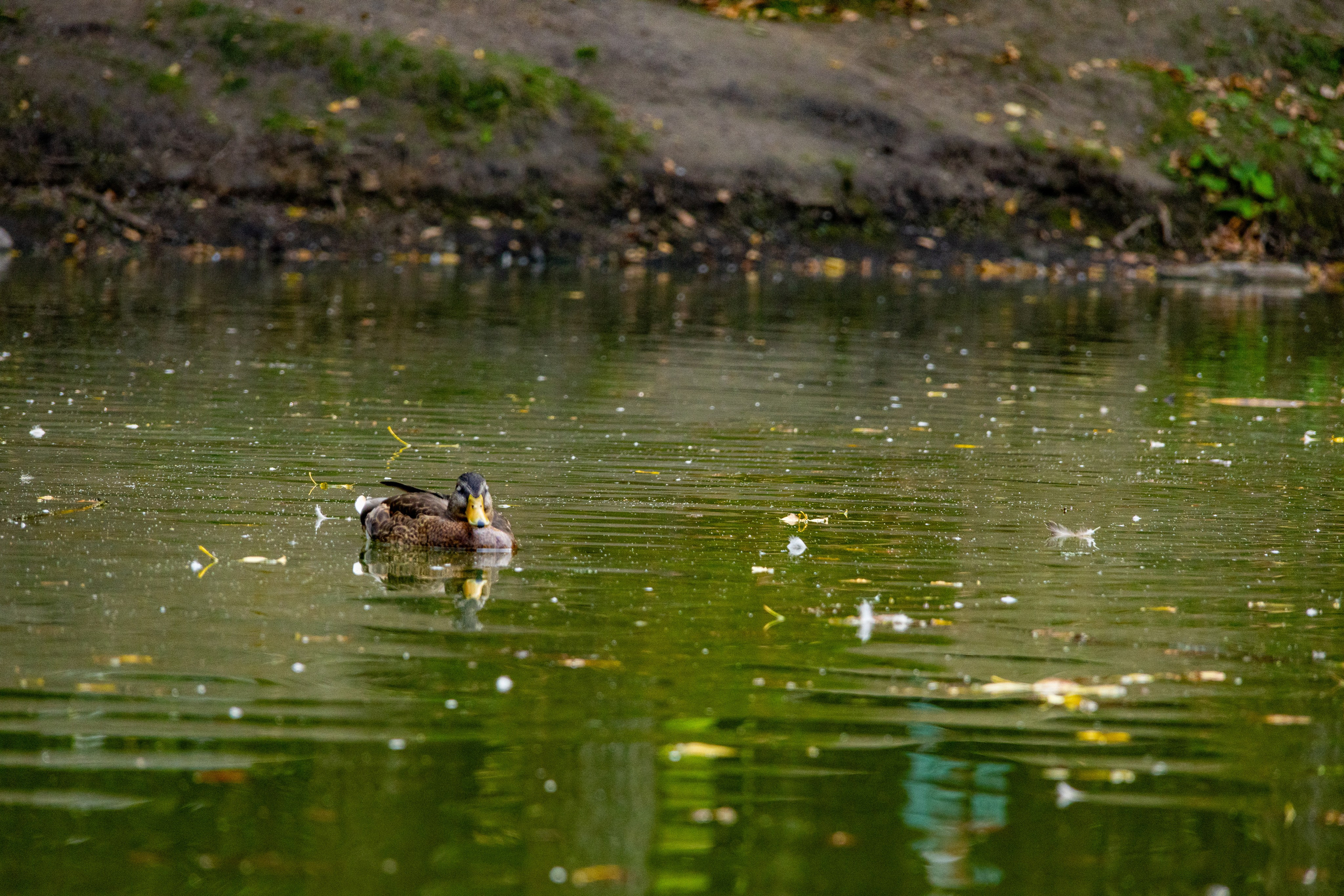 Екатеринбург. Jean De Vivre Gallery