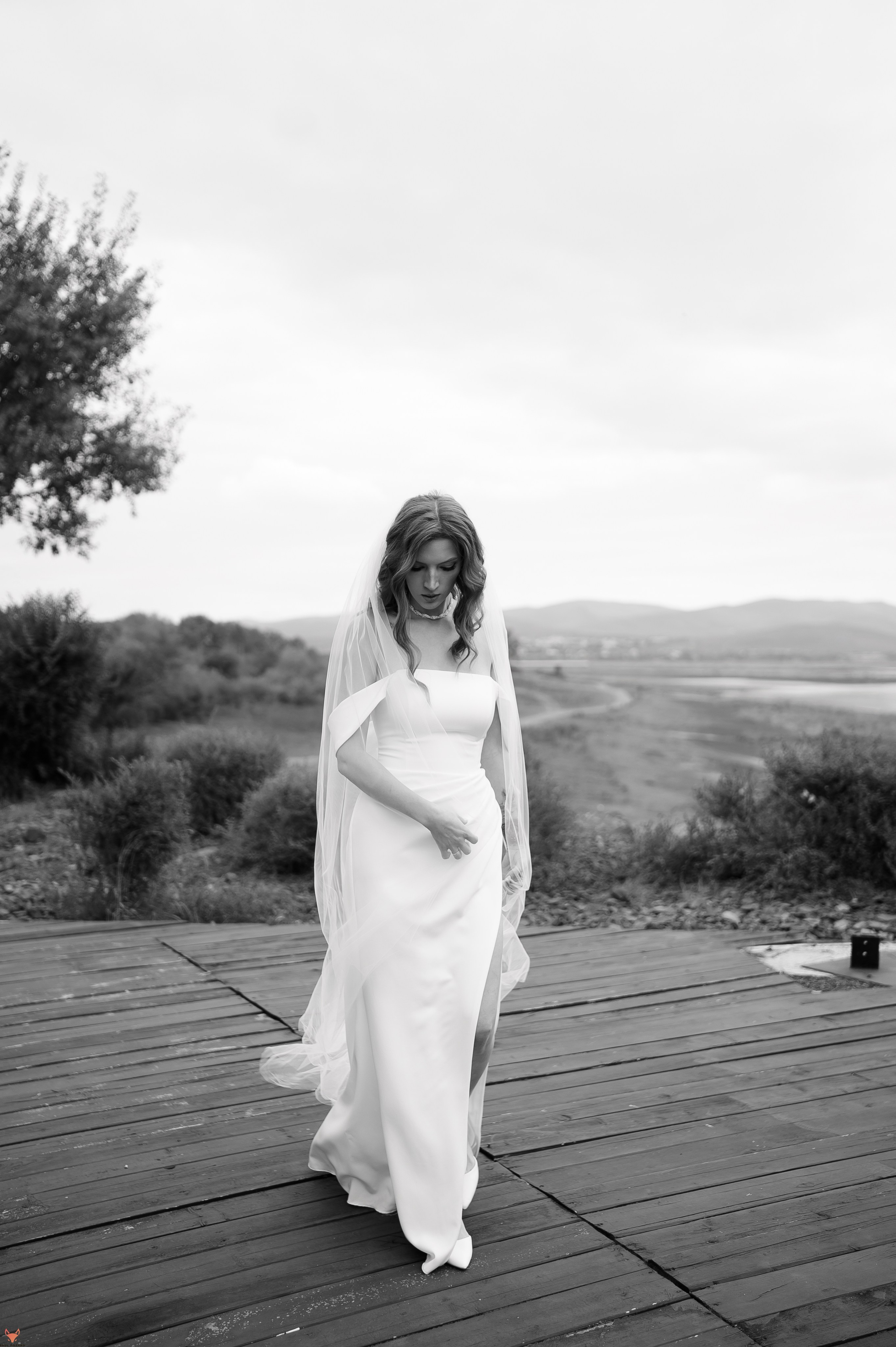 Wedding 14 09 24. Свадебный Фотограф Абакан