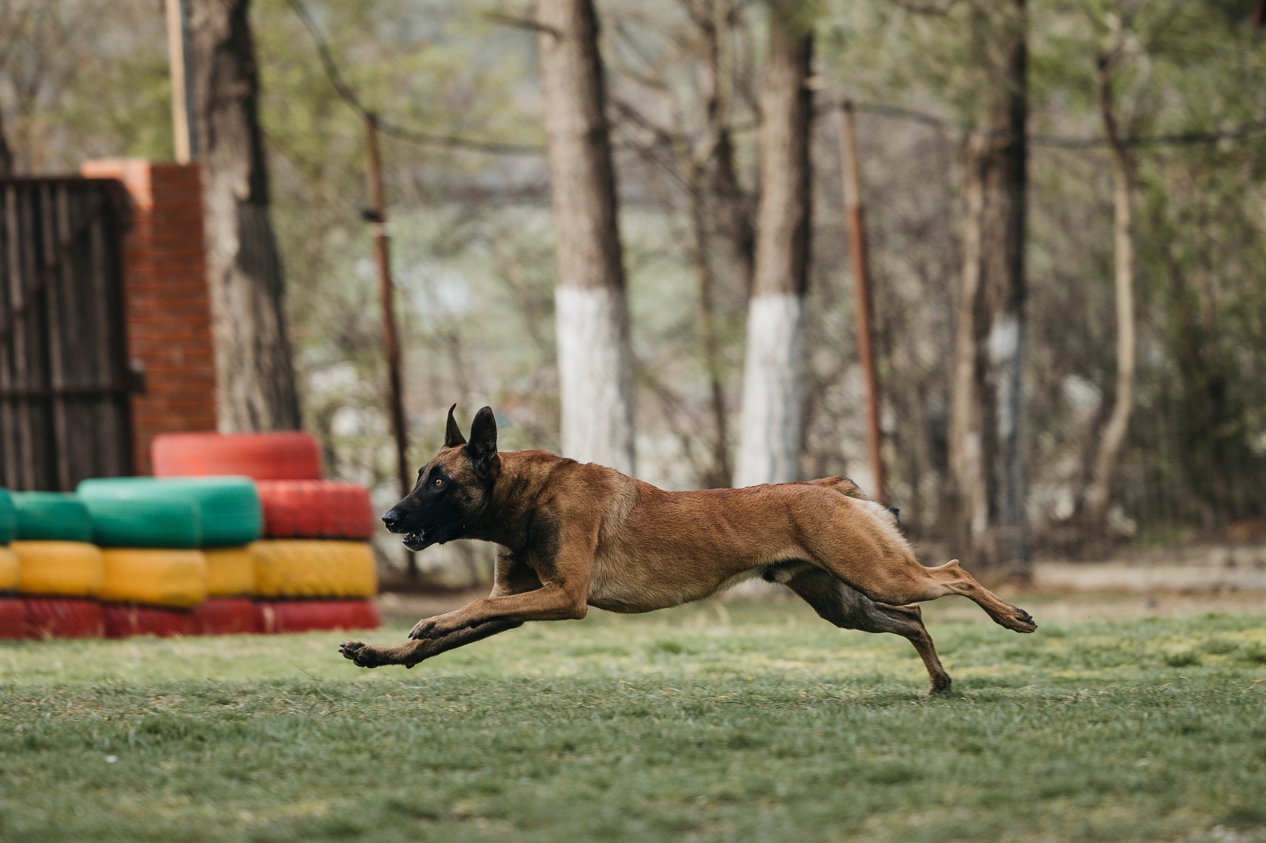Геленджик Мондьоринг. Фотограф-анималист Анна Маринич