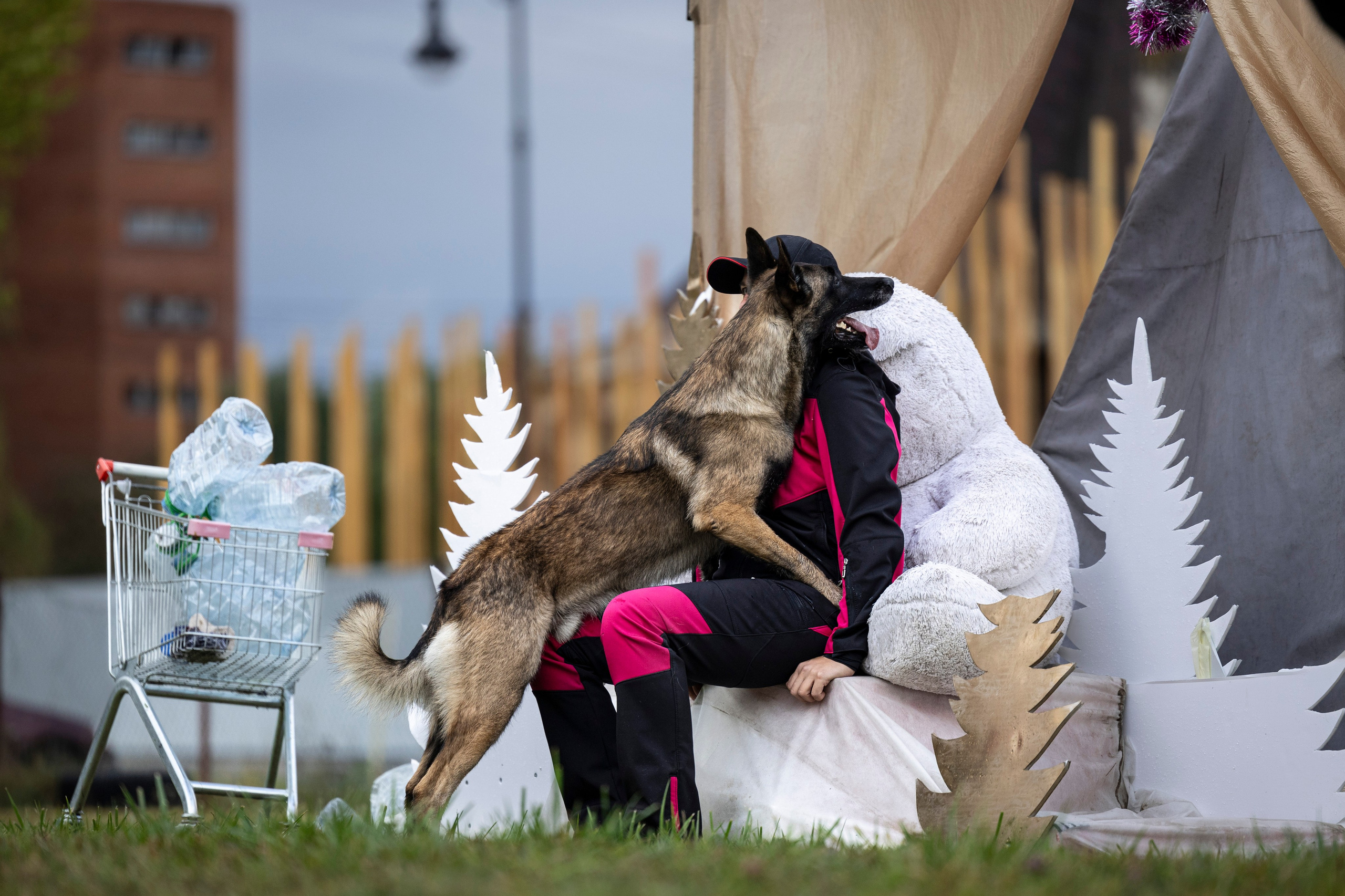 Испытания по Мондьорингу г. Пушкин. Фотограф-анималист Анна Маринич