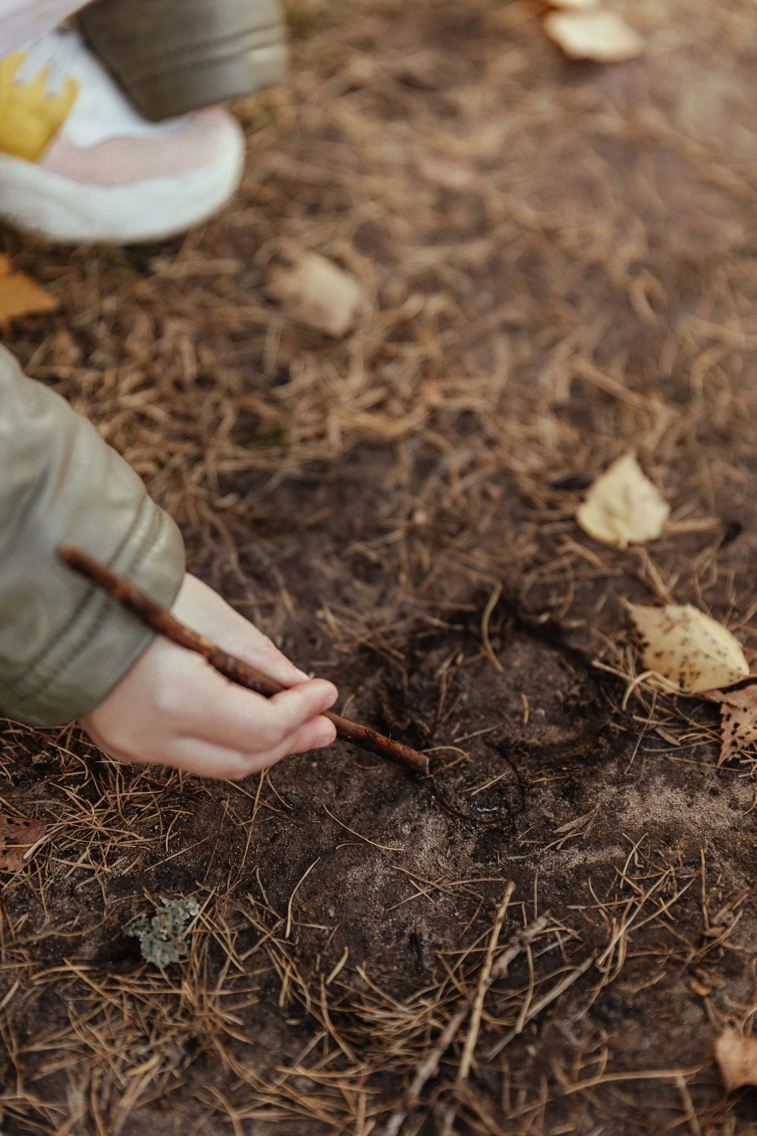 На Венце. Фотограф в Красногорске и Москве