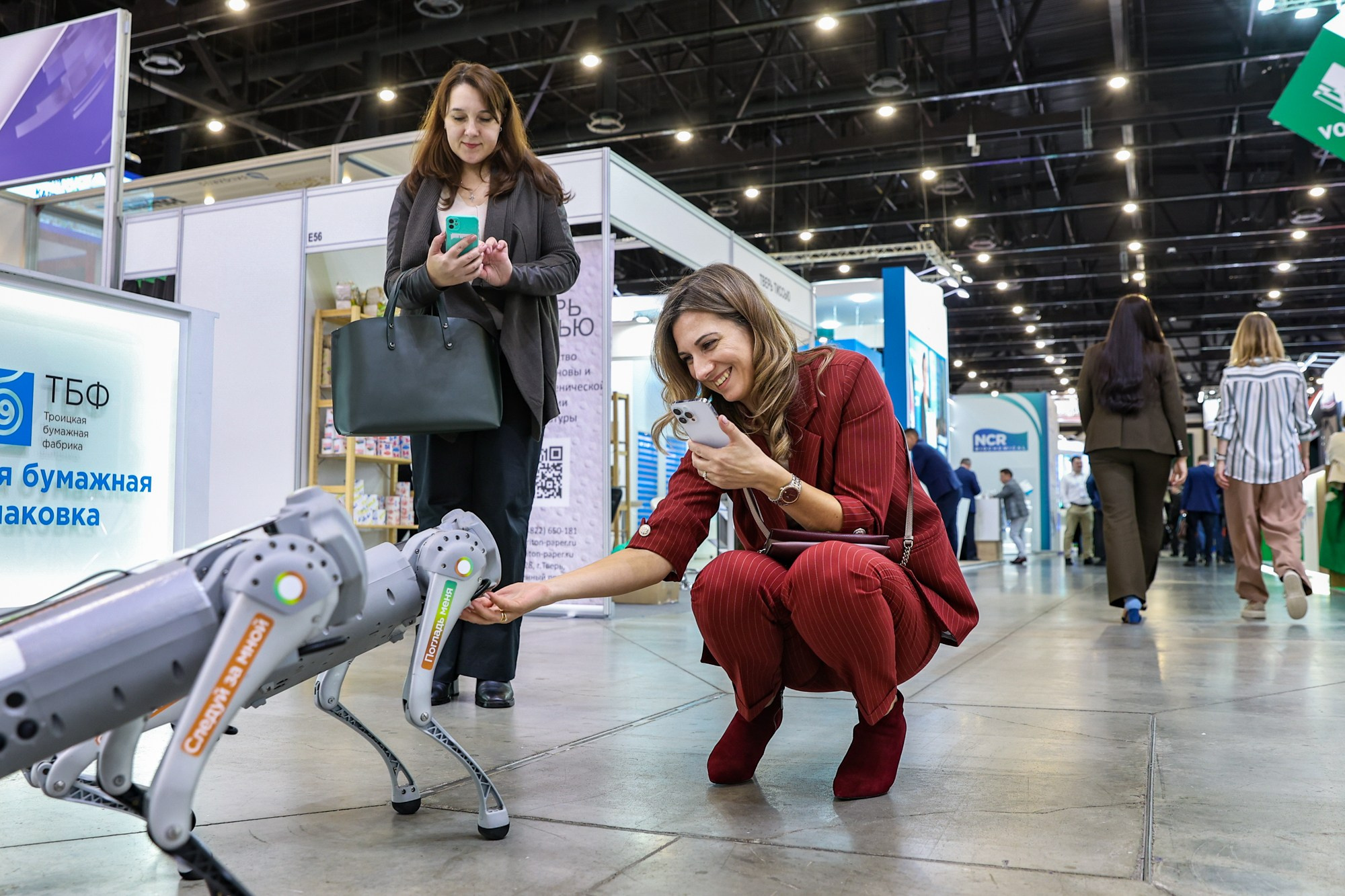 PulpFor 2024. Фотограф Дарья Попова