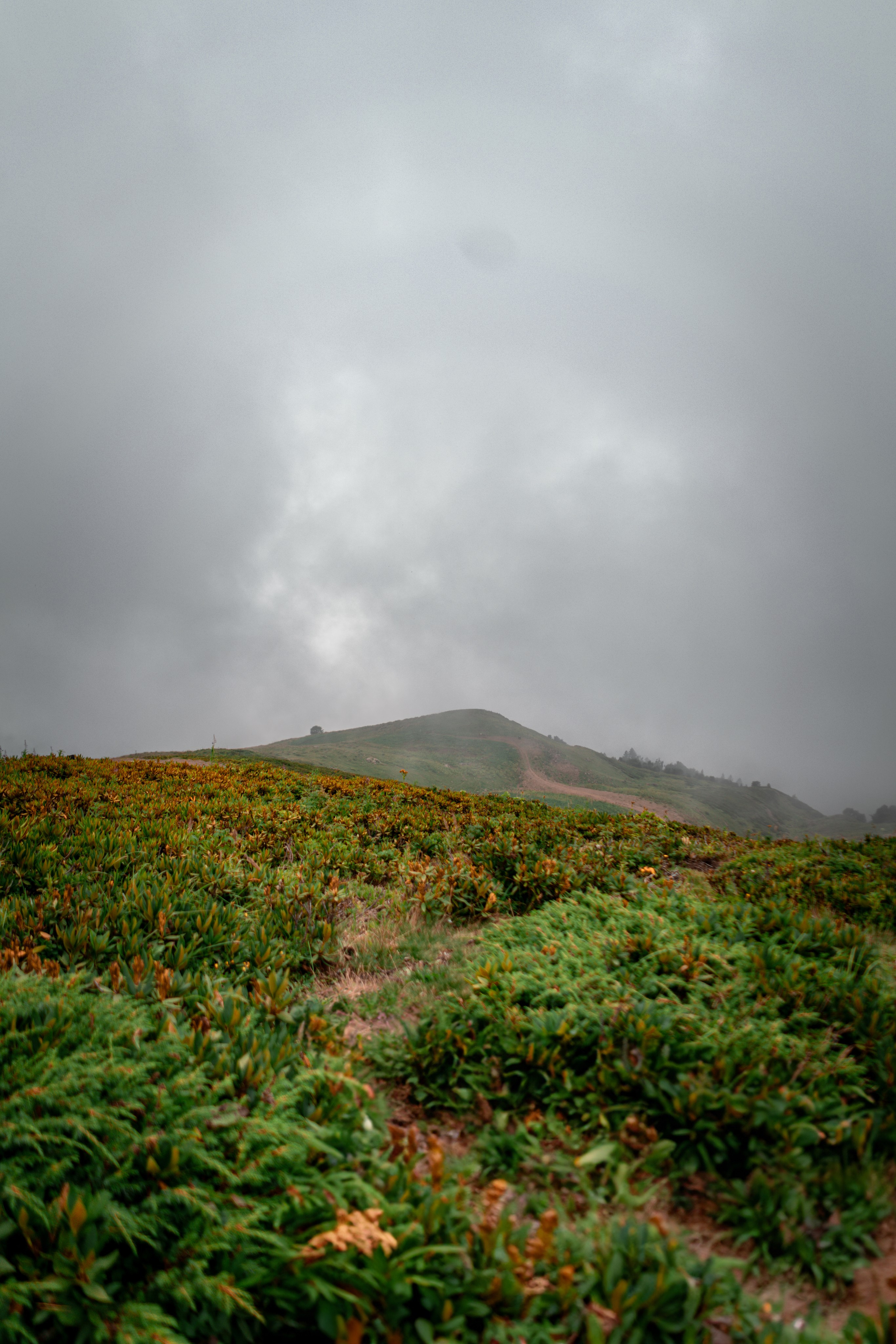 Сочи. Фотограф Александра Волкова | Волгоград