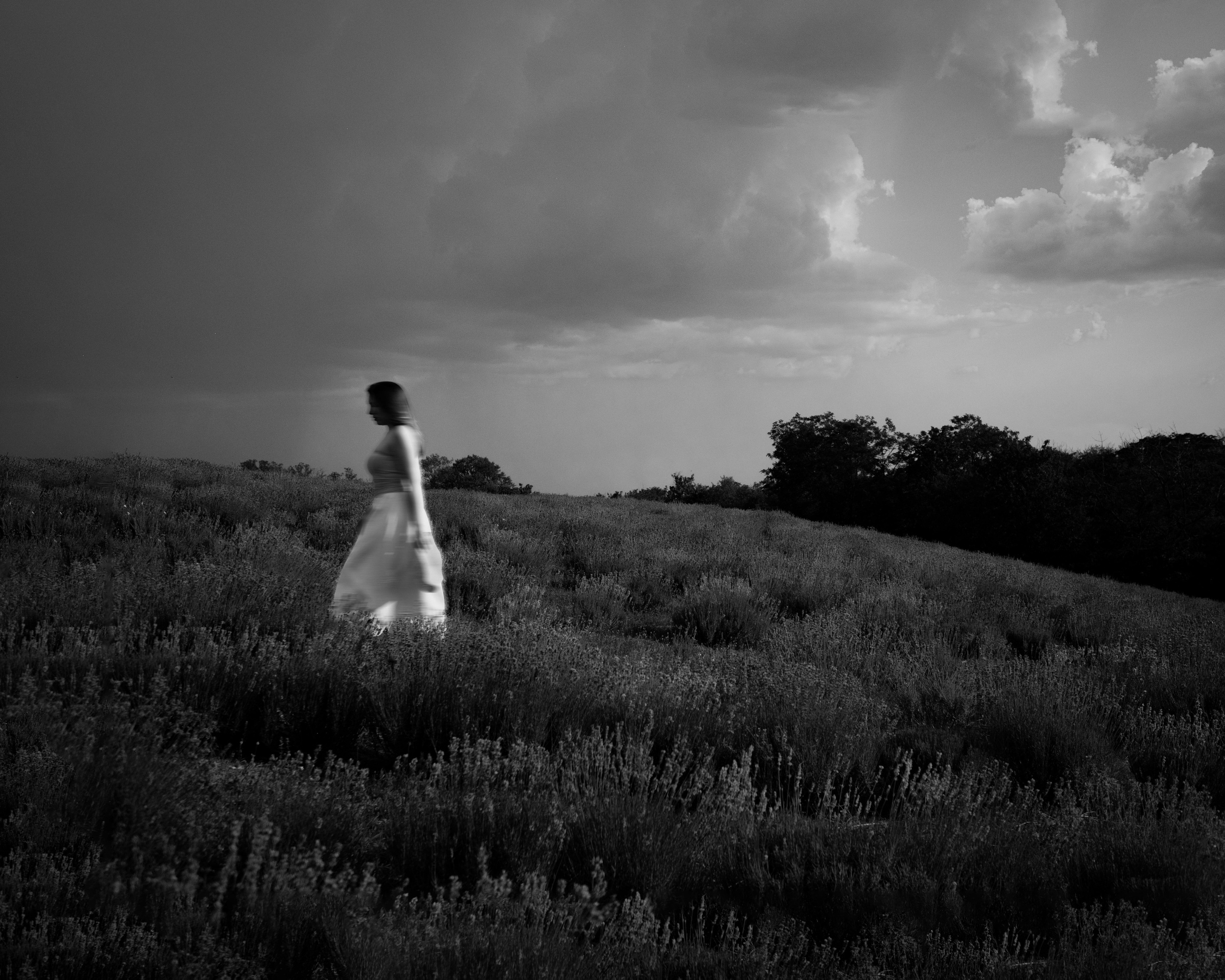 On a lavender field. Portrait photographer Olga Prokopova based in Budapest