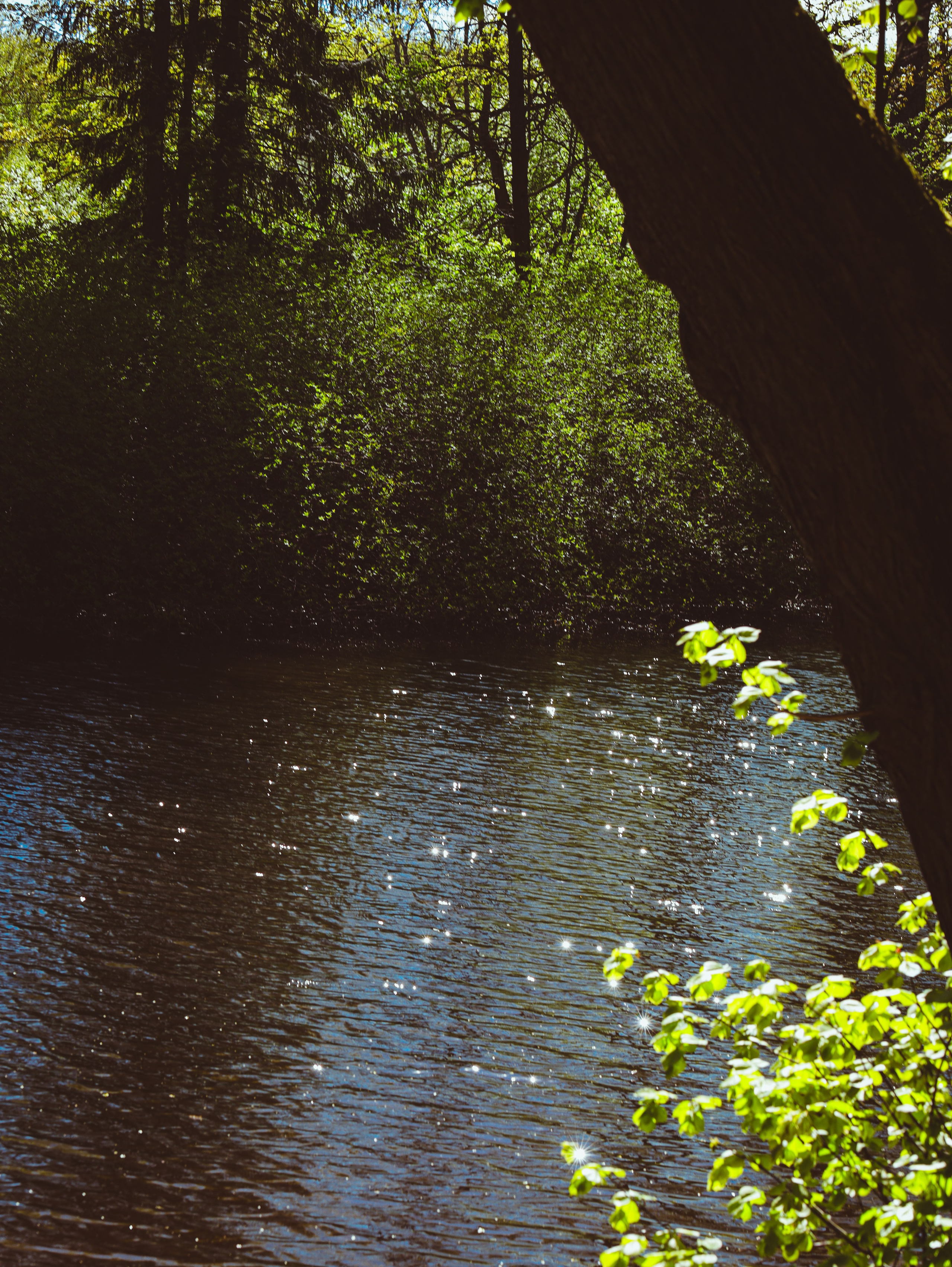 Природа &. Фотохудожник в СПб