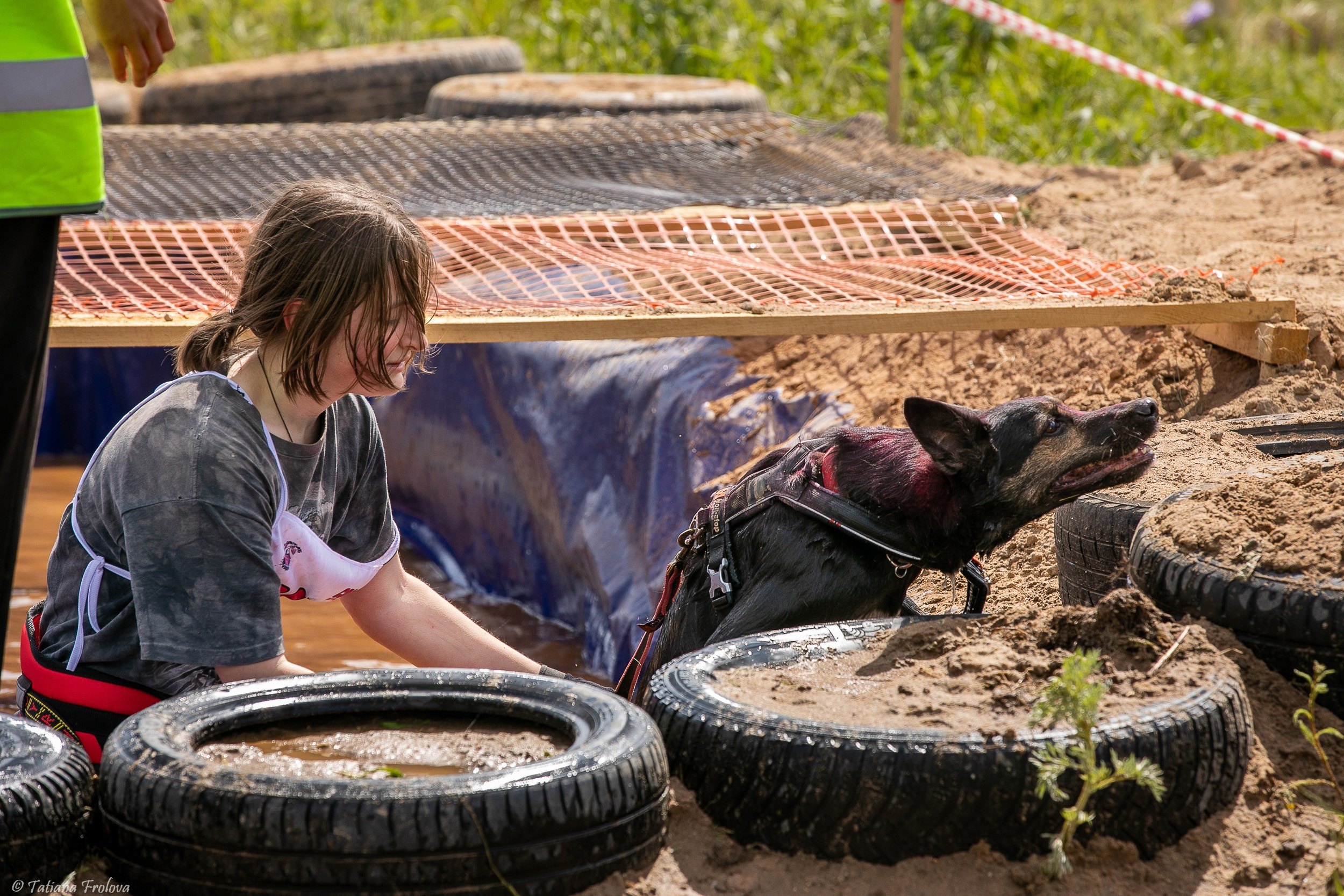 Фоторепортаж с забега с собаками. Фотограф-анималист в Москве и Московской области Татьяна Фролова