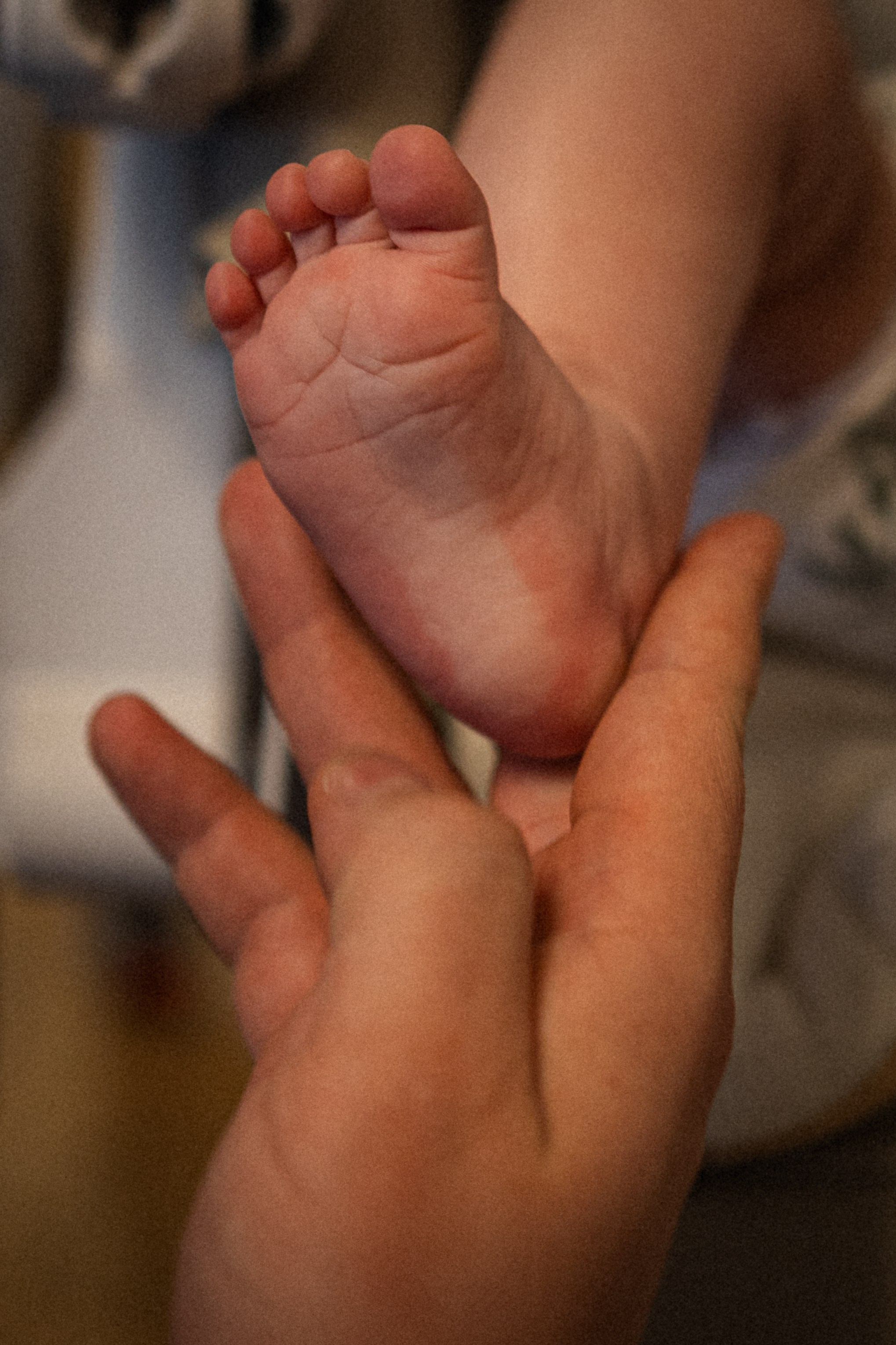 Семья Бударины. Фотограф Санкт-Петербург