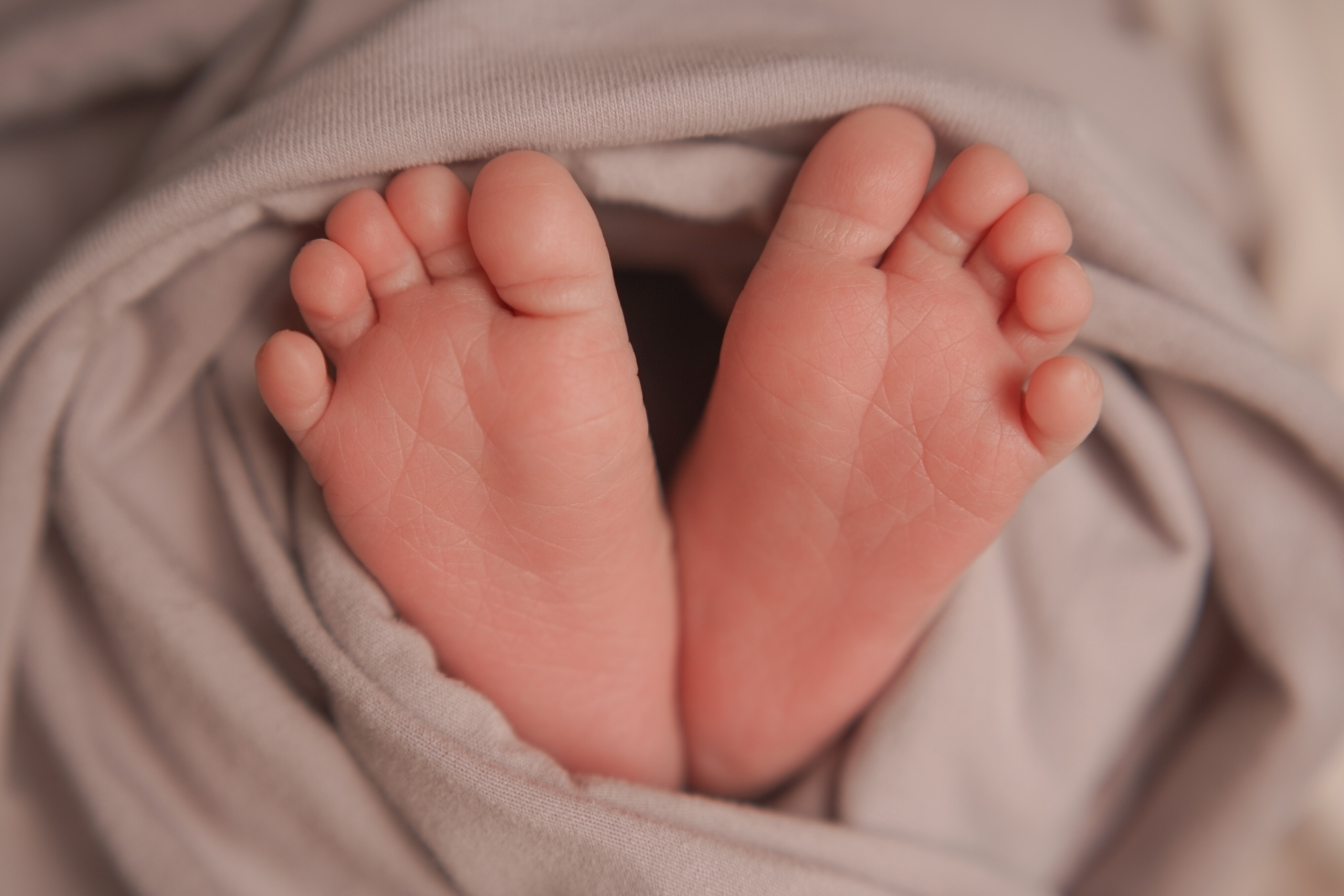 Макро кадры. Фотограф Александра Василькова