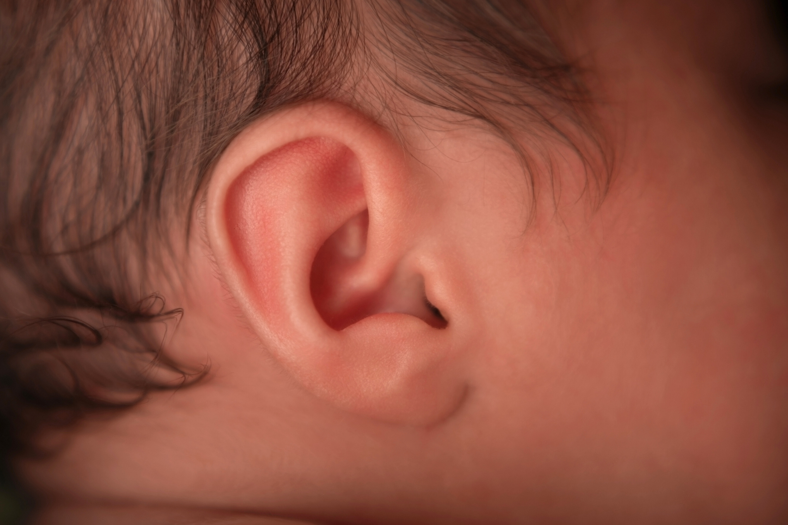 Макро кадры. Фотограф Александра Василькова