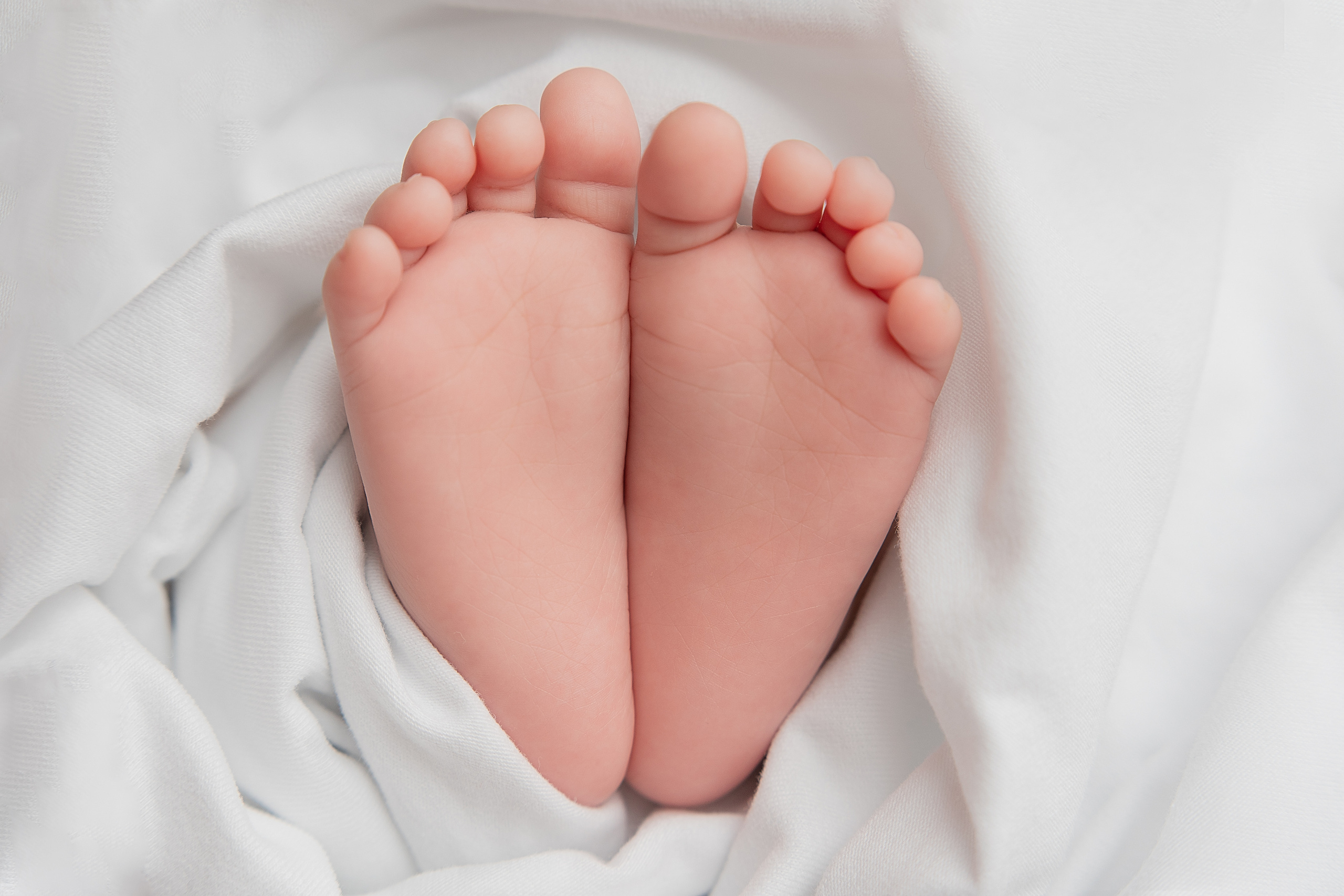 Галерея. Фотограф Александра Василькова