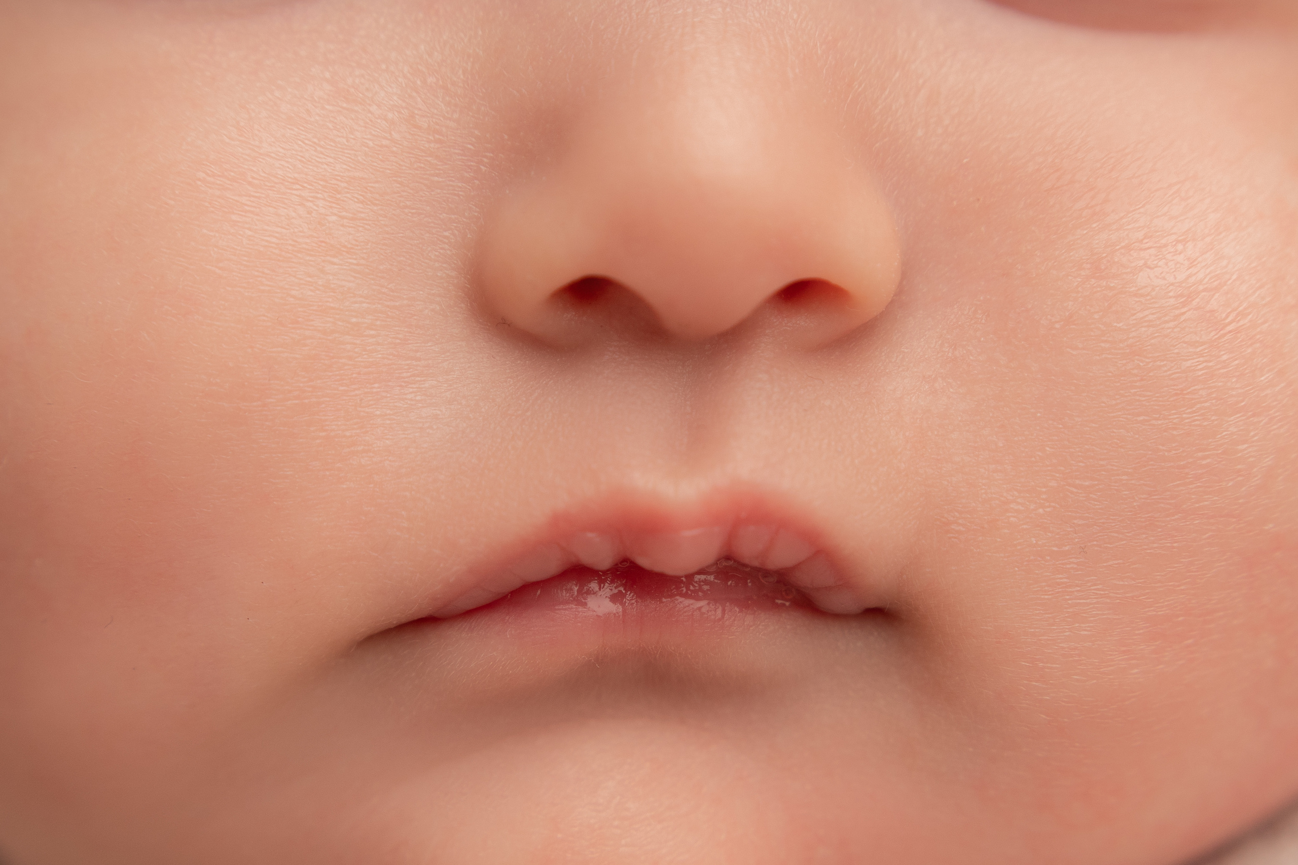 Макро кадры. Фотограф Александра Василькова