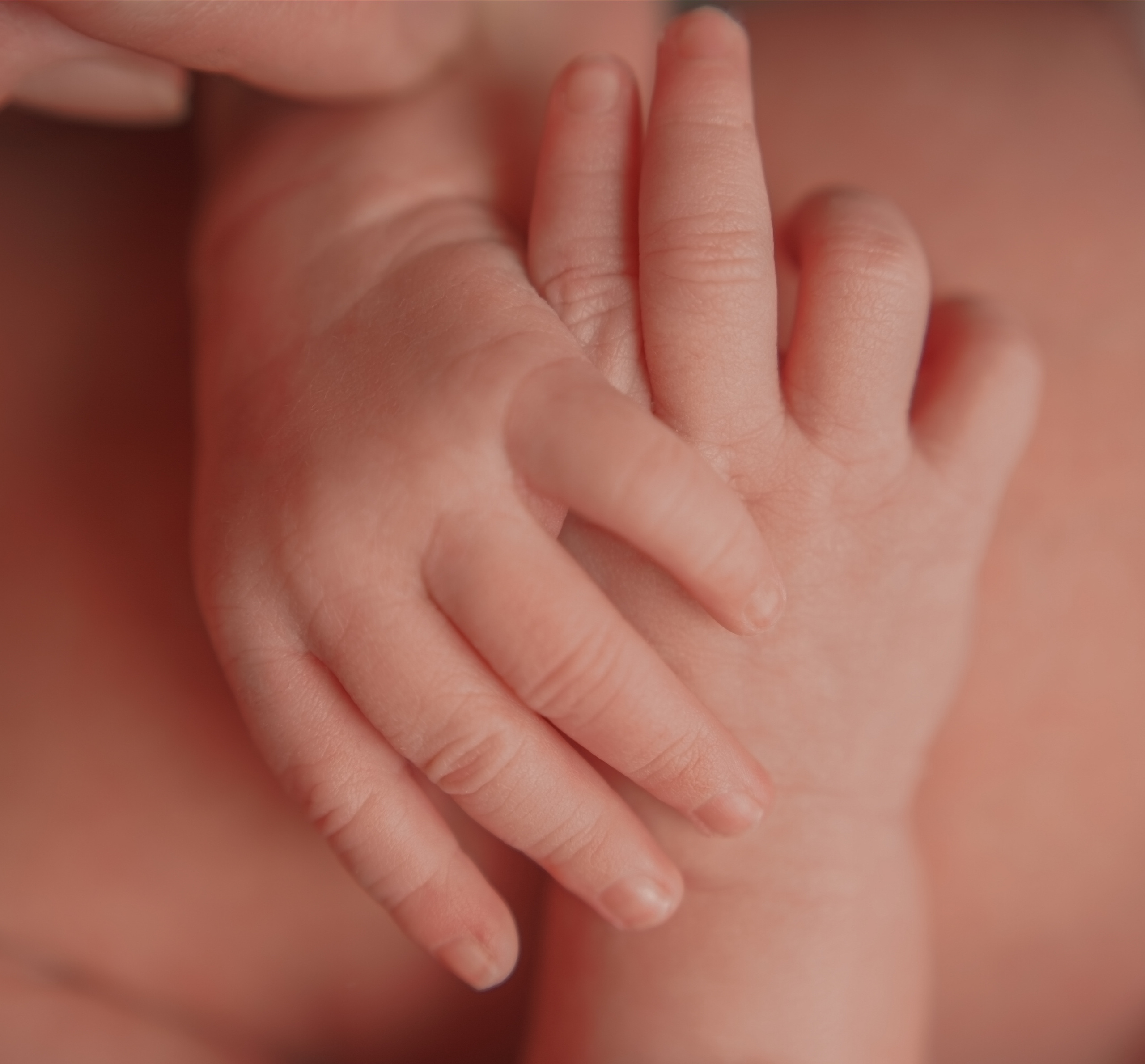 Макро кадры. Фотограф Александра Василькова