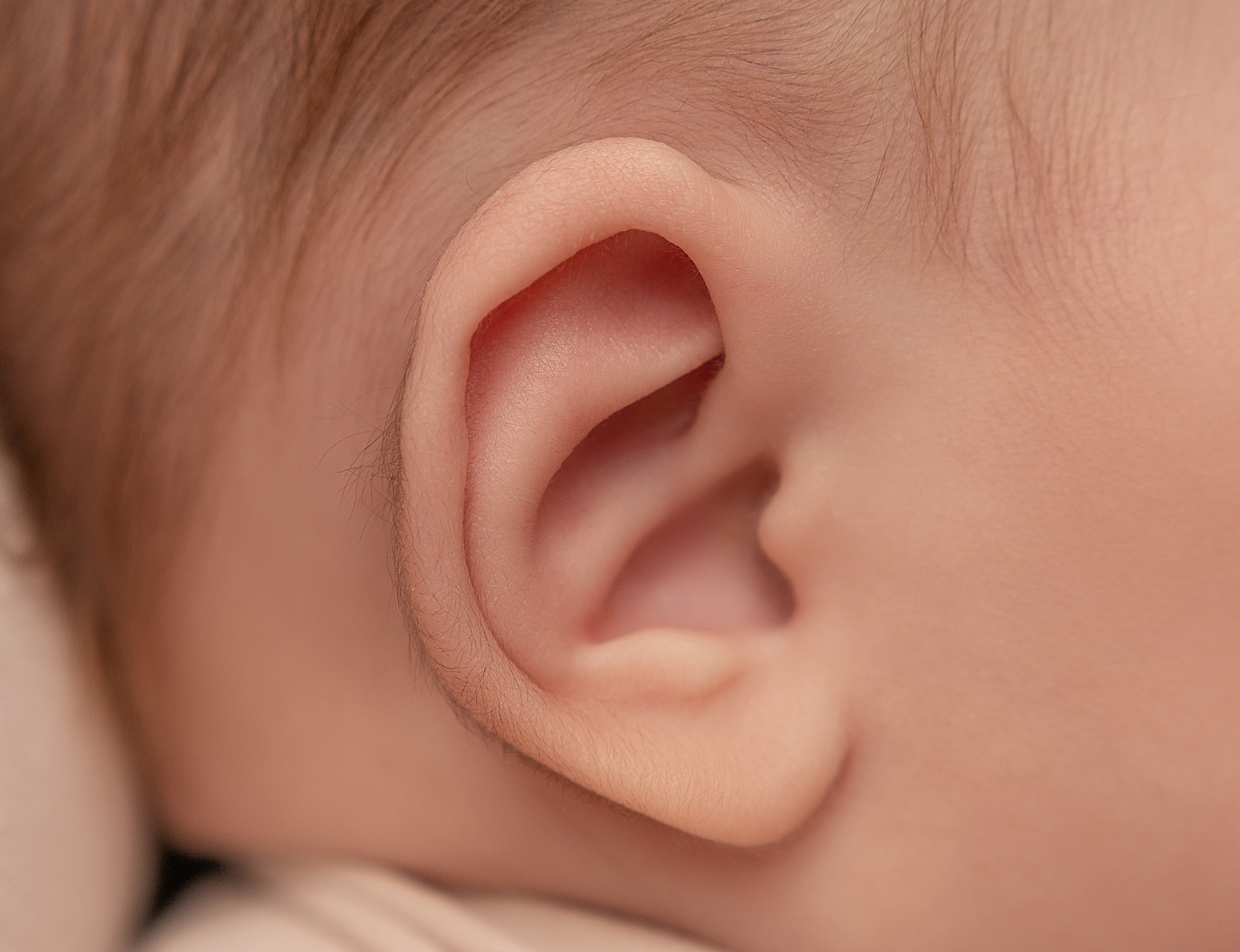 Макро кадры. Фотограф Александра Василькова