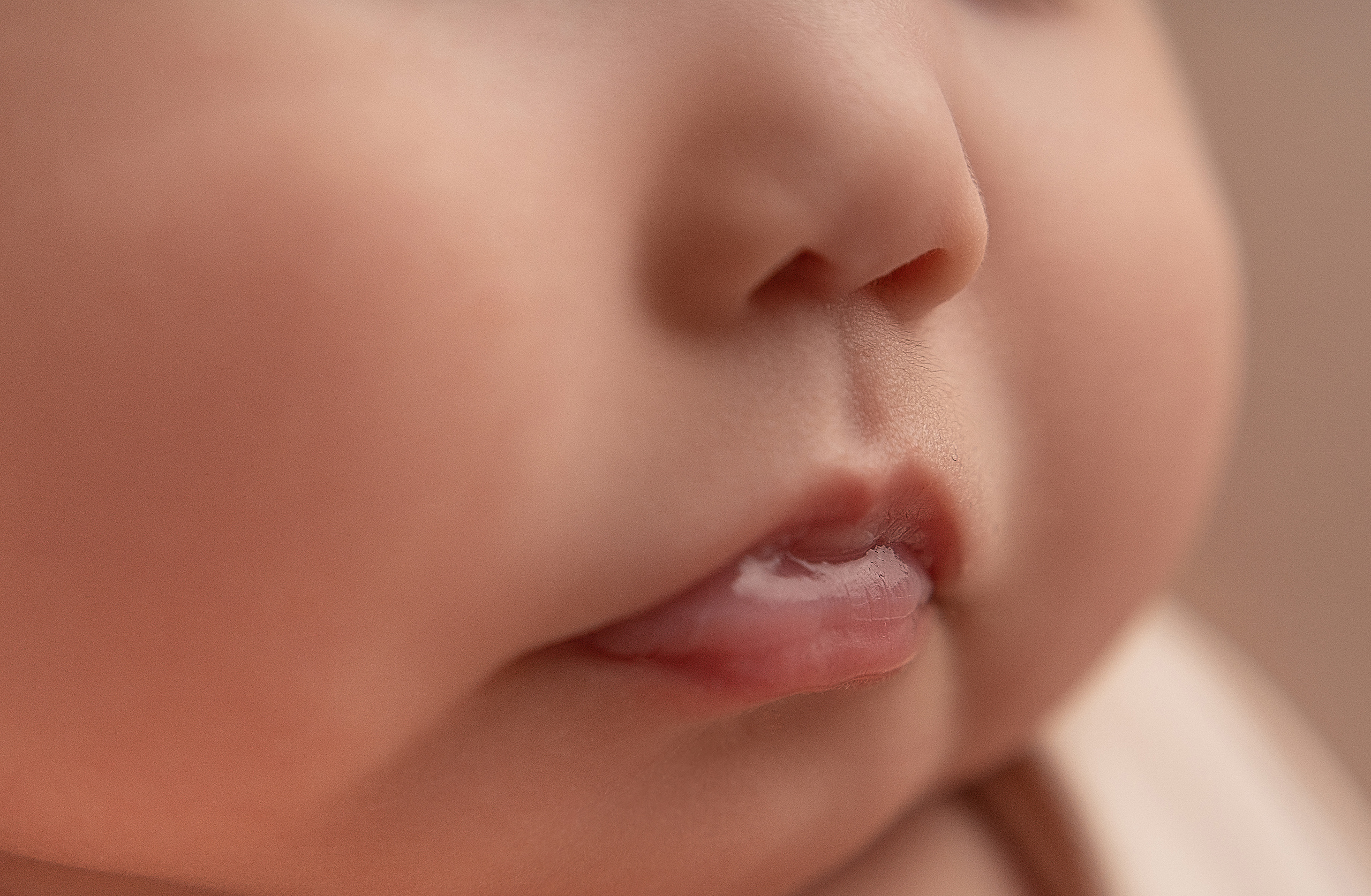 Галерея. Фотограф Александра Василькова