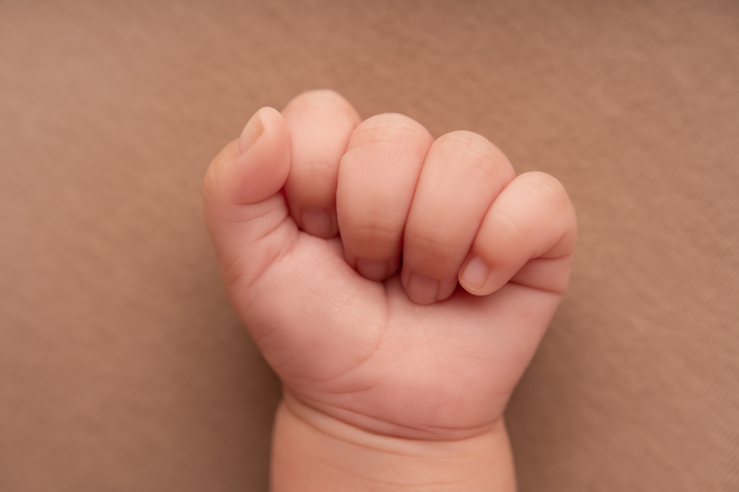 Галерея. Фотограф Александра Василькова