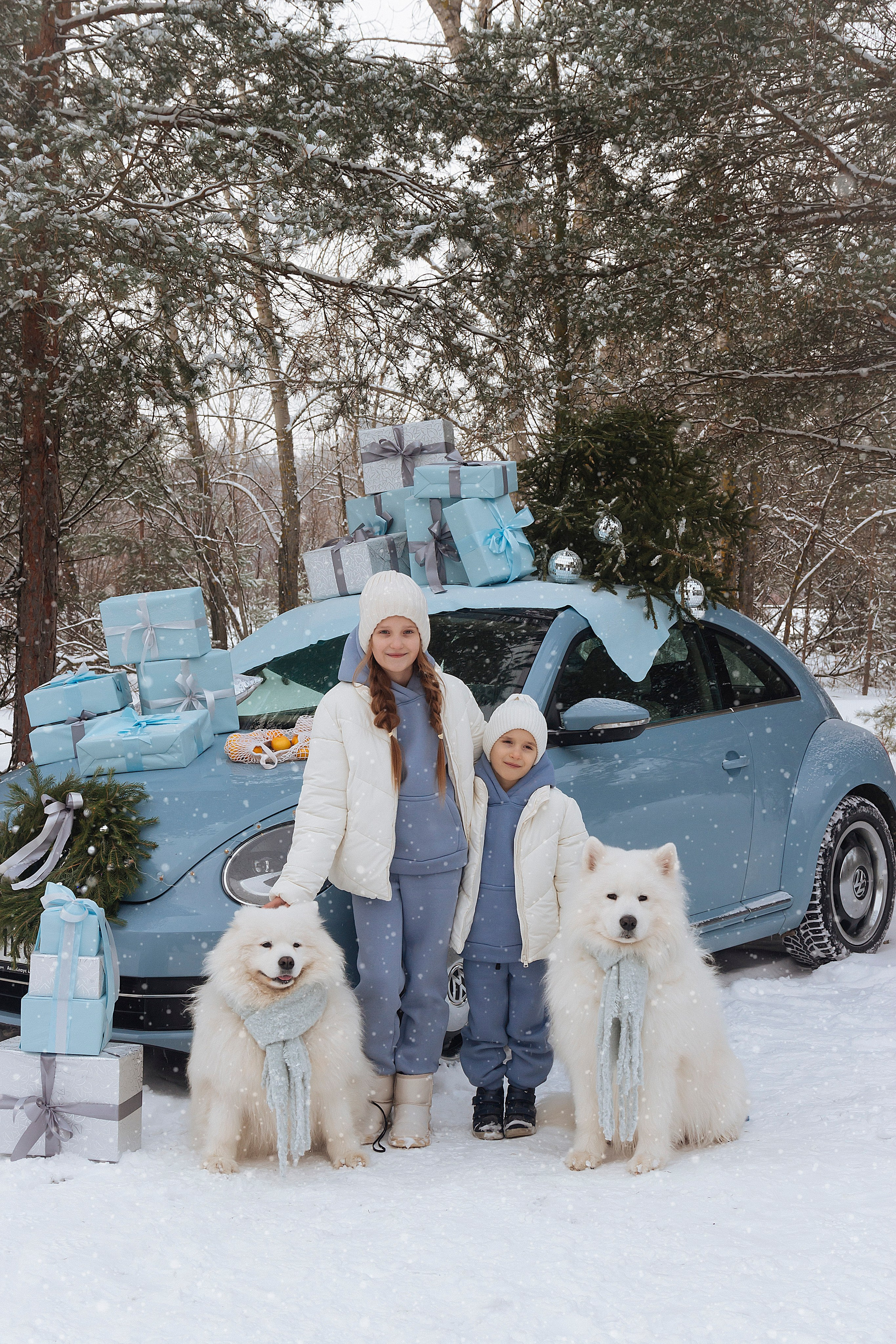 Новогодний голубой жук. Фотограф Ольга Бобб Нижний Новгород