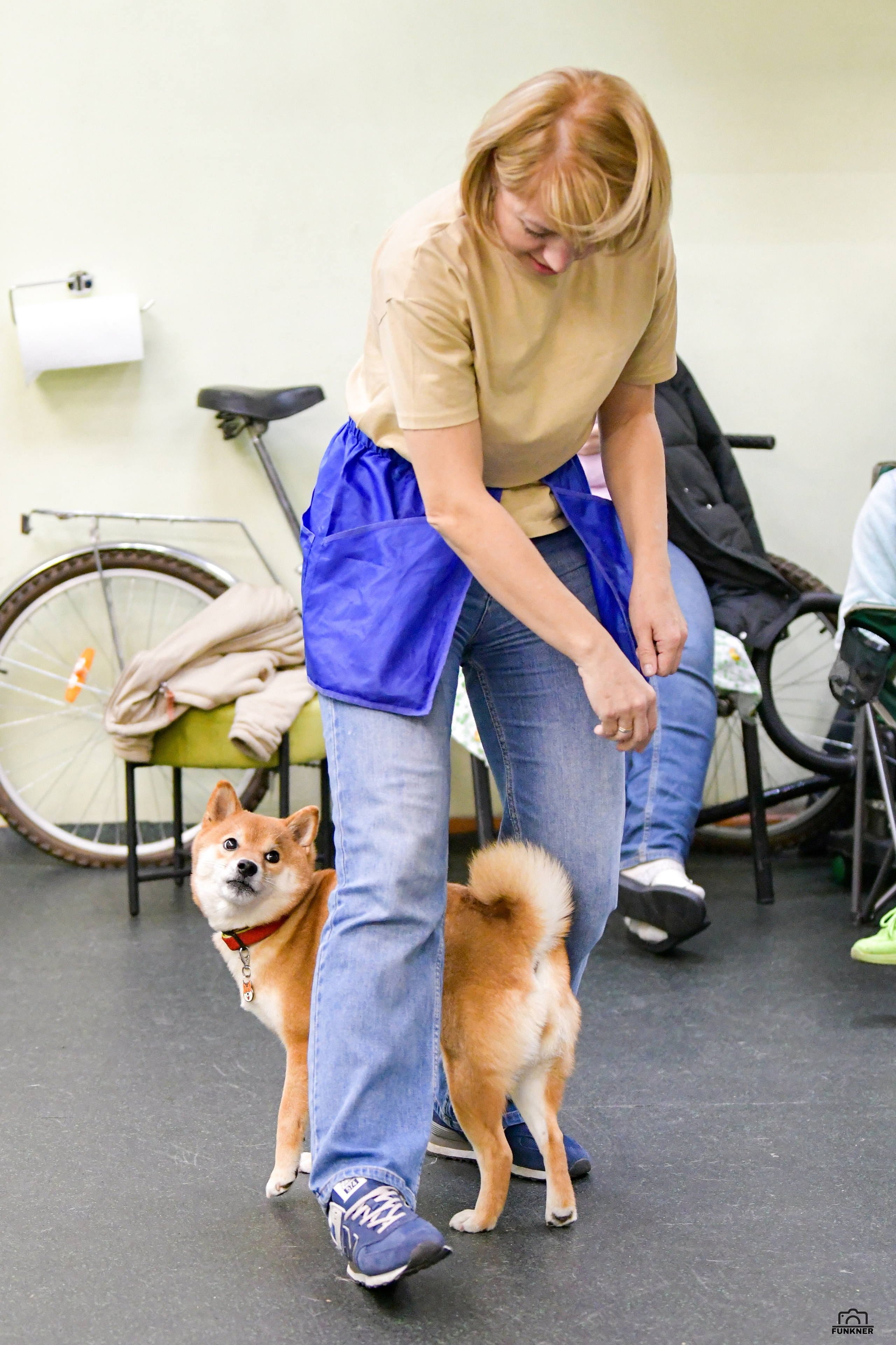 Кинологический клуб «Бодрый хвост». Свой взгляд через объектив