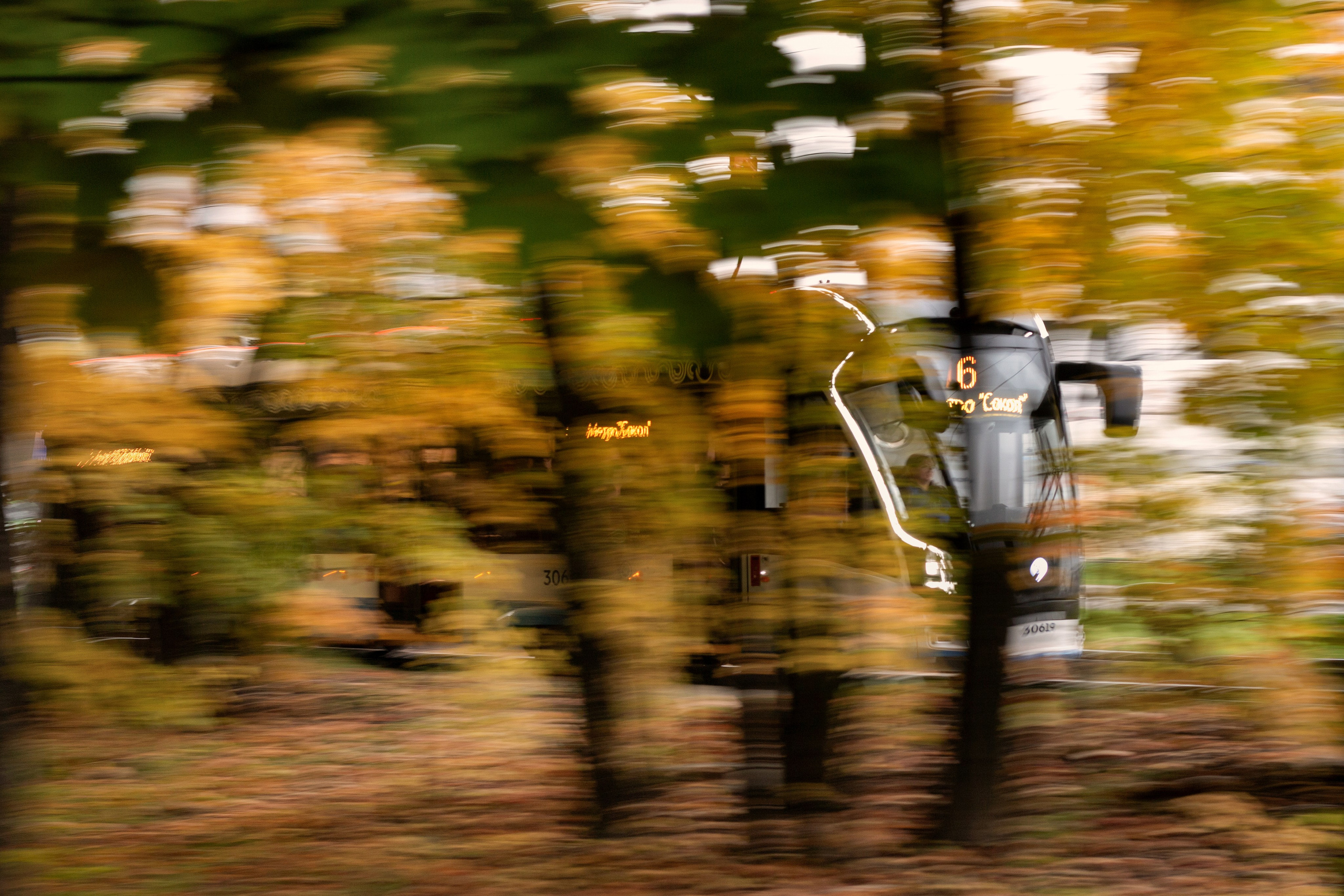 Фото. Фотограф Лагутин Анатолий