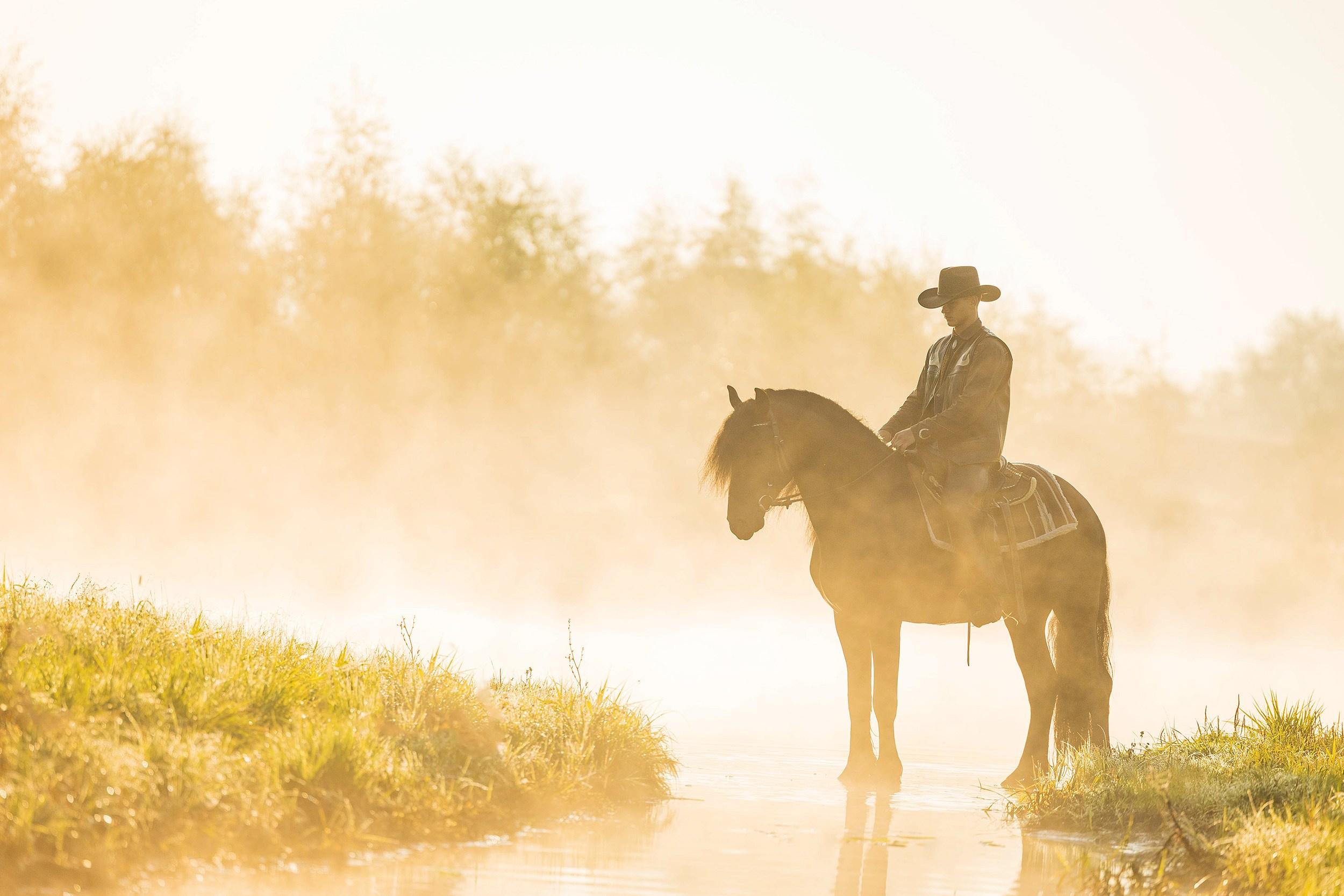 Люди. Фотограф-анималист Юлия Удовенко