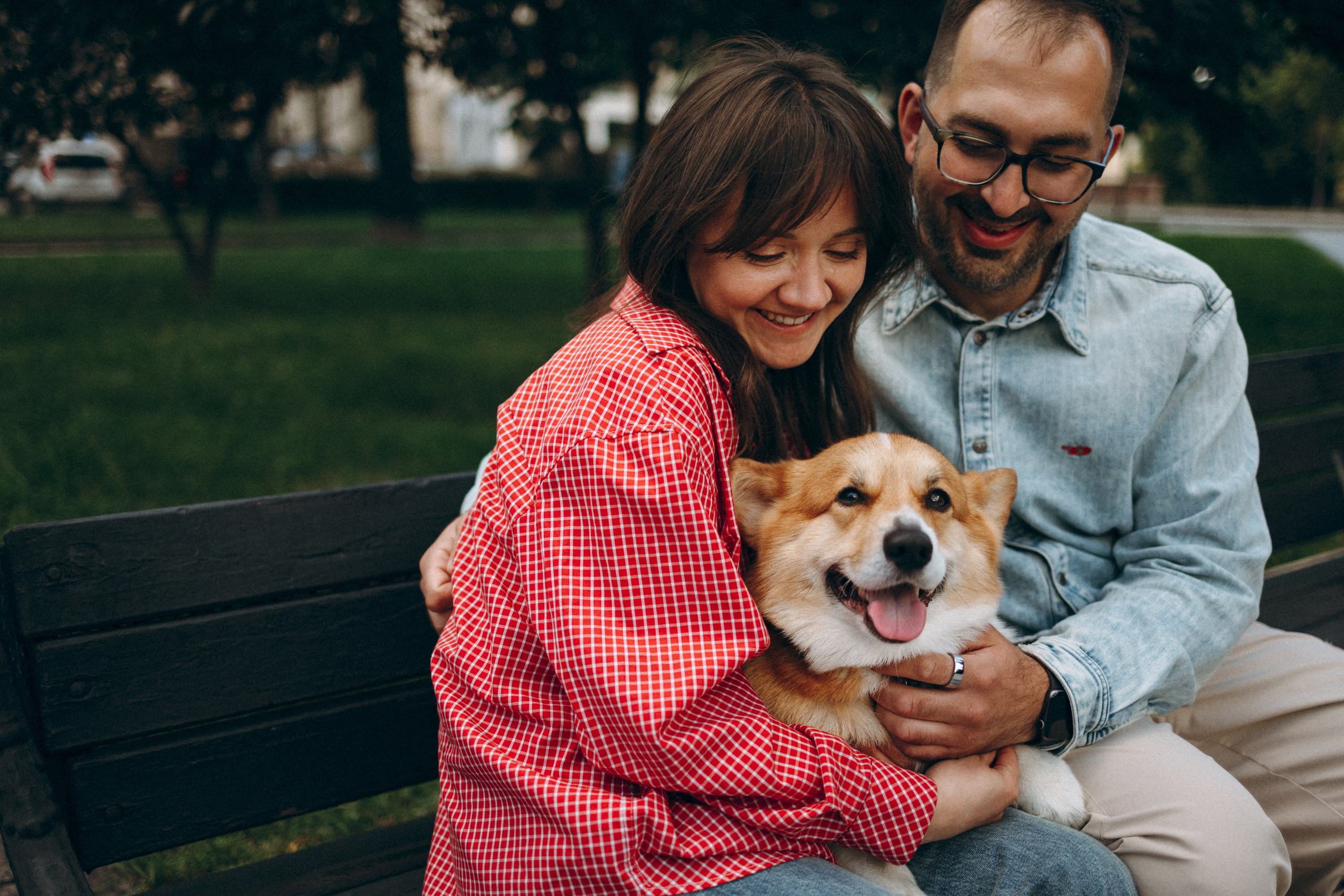 Момо, Люда и Эд. Фотограф анималист Анастасия Пикей
