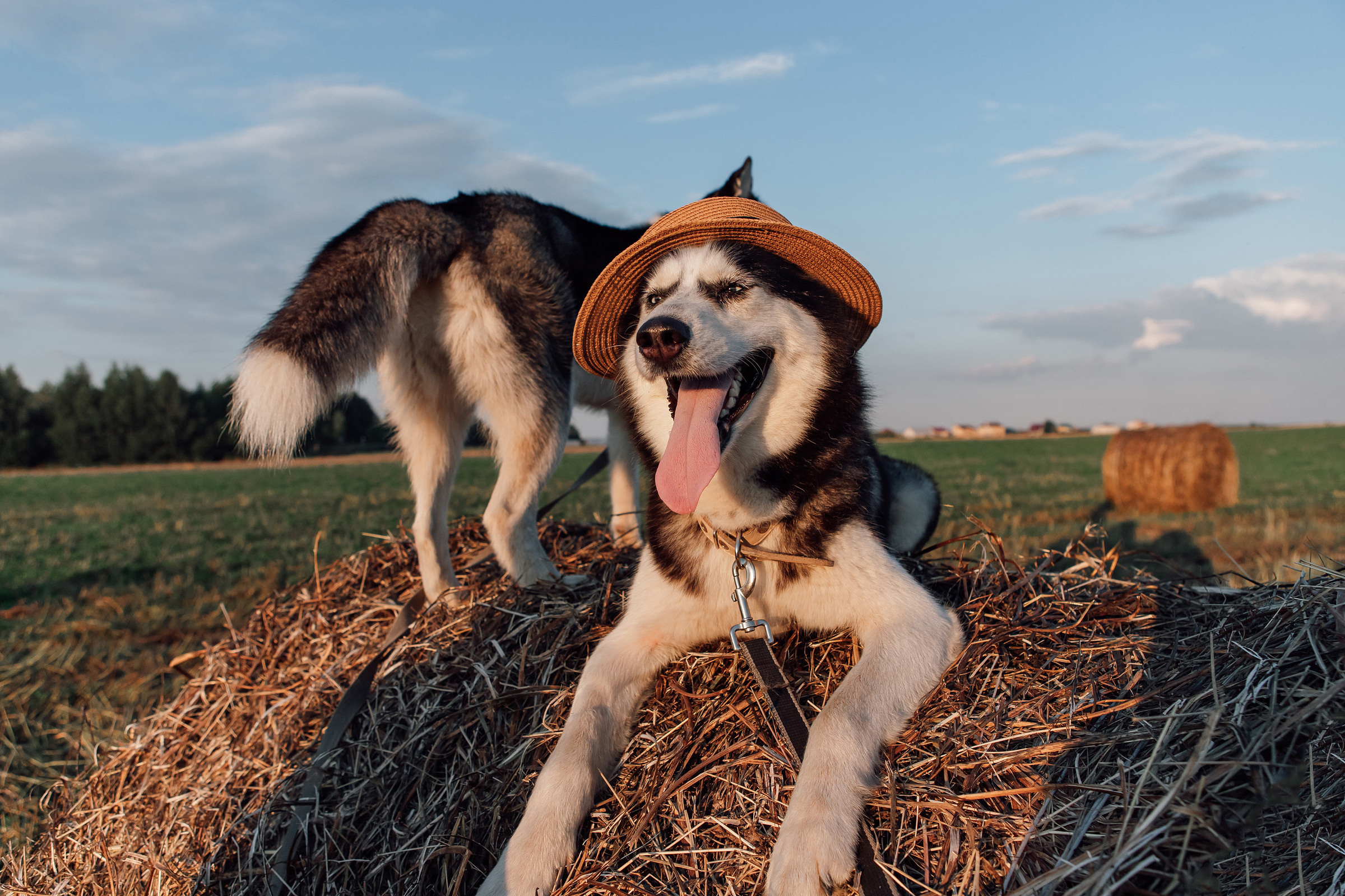 На закате. Фотограф Артем Утешев