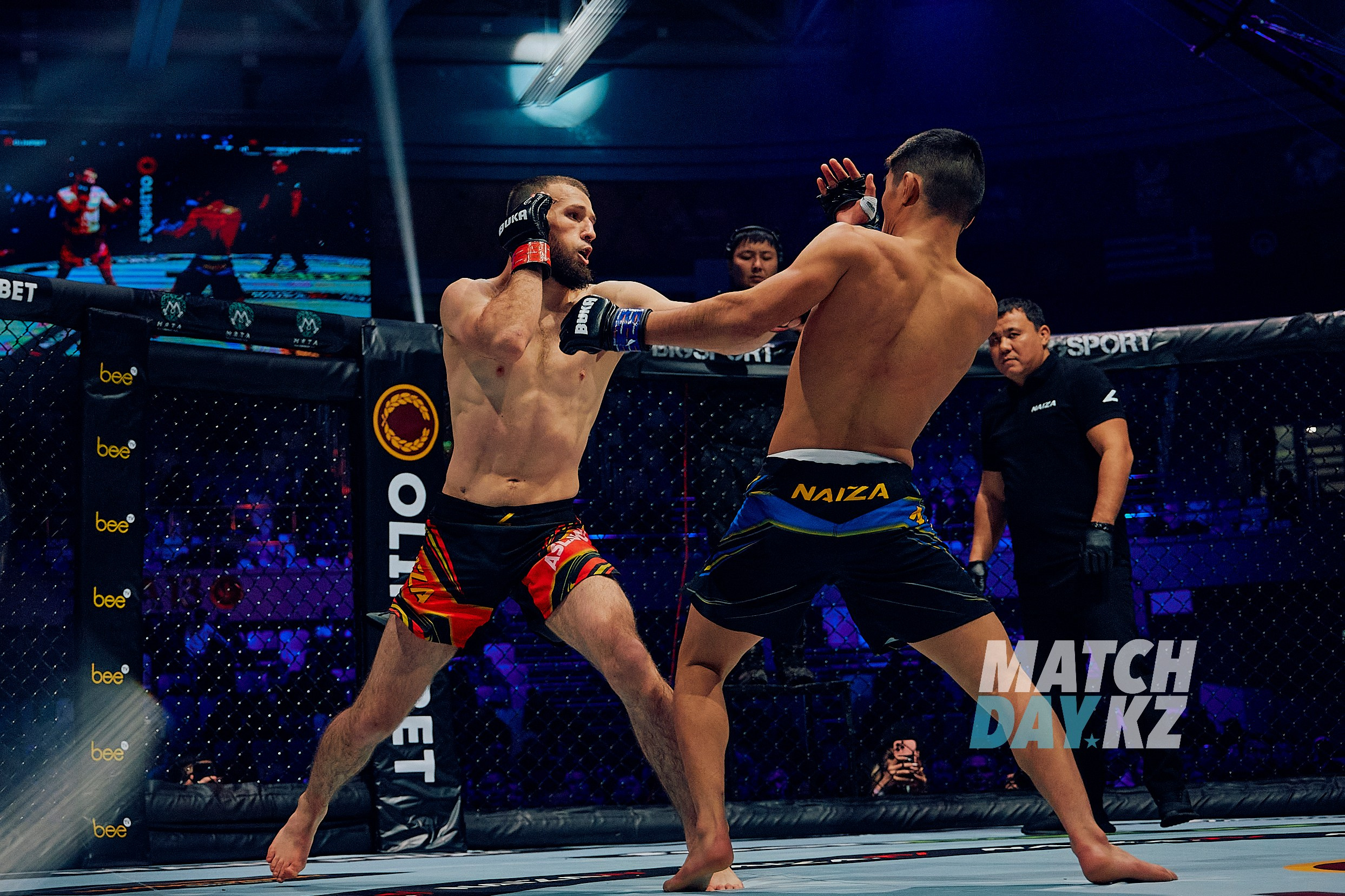 Naiza MMA (Astana) 6 December 2023. Professional photo & Event agency (Kazakhstan, Astana)
